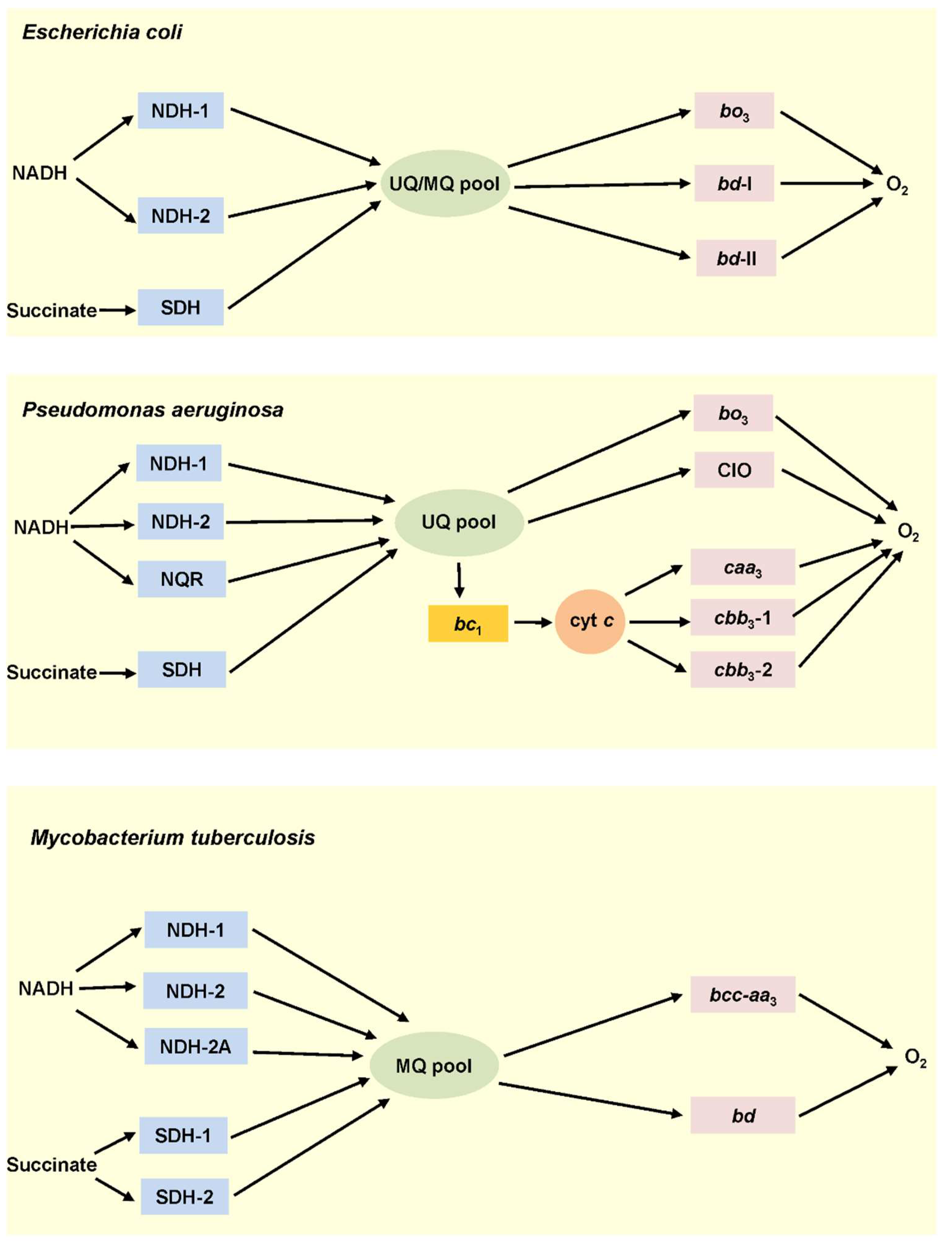Ijms 23 07321 g001 Ijms 23 07321 g001