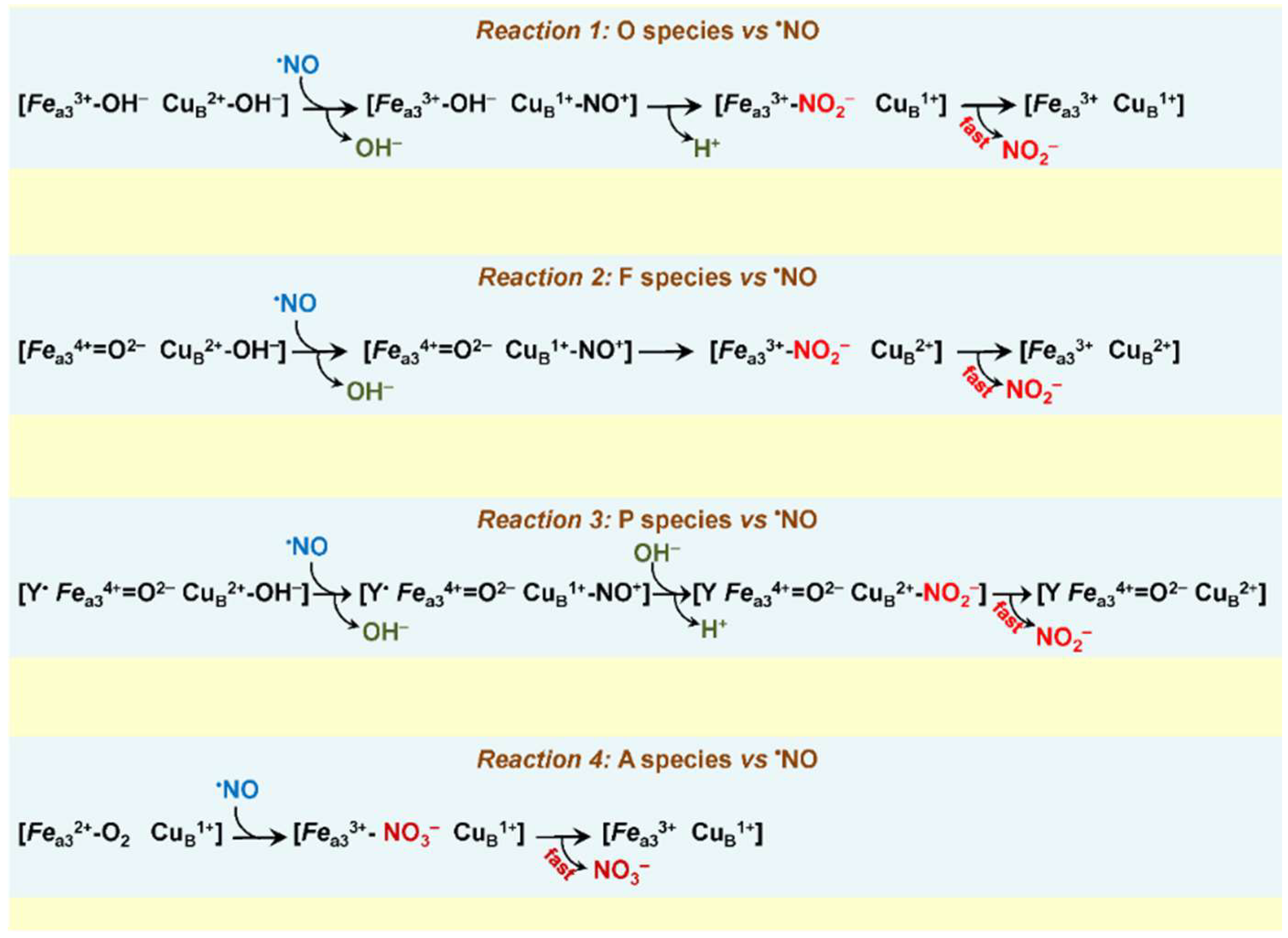 Ijms 23 07321 g004 Ijms 23 07321 g004