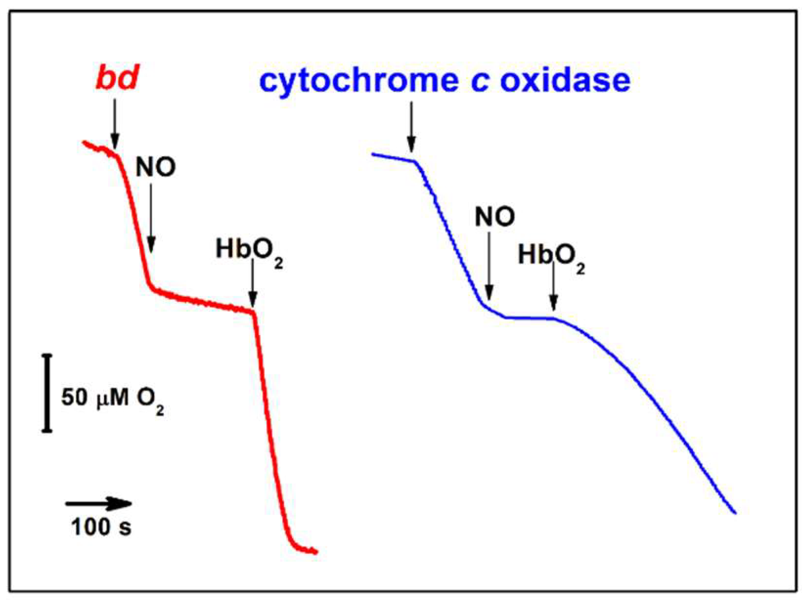 Ijms 23 07321 g006 Ijms 23 07321 g006