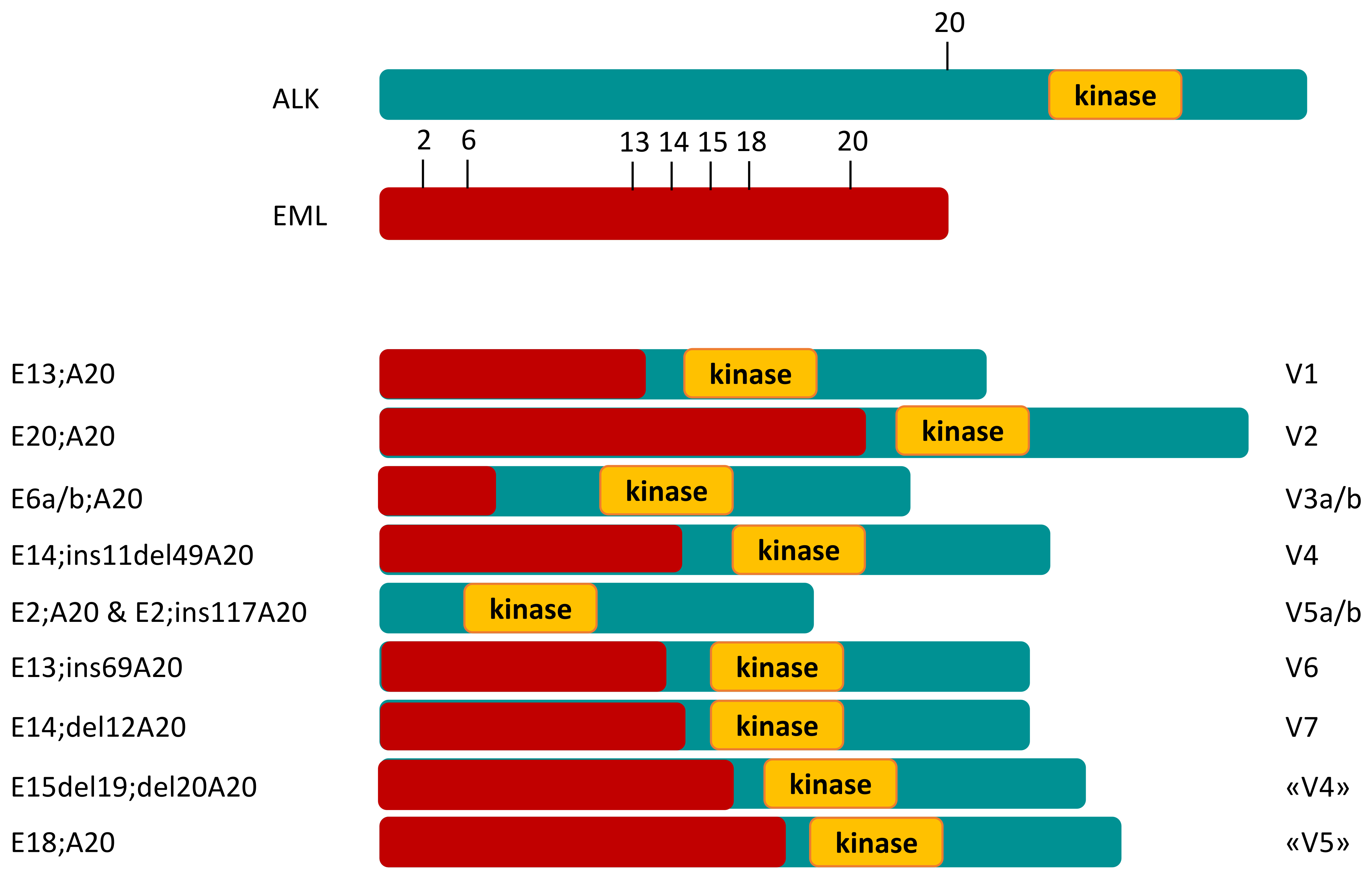 Ijms 23 07322 g001 Ijms 23 07322 g001