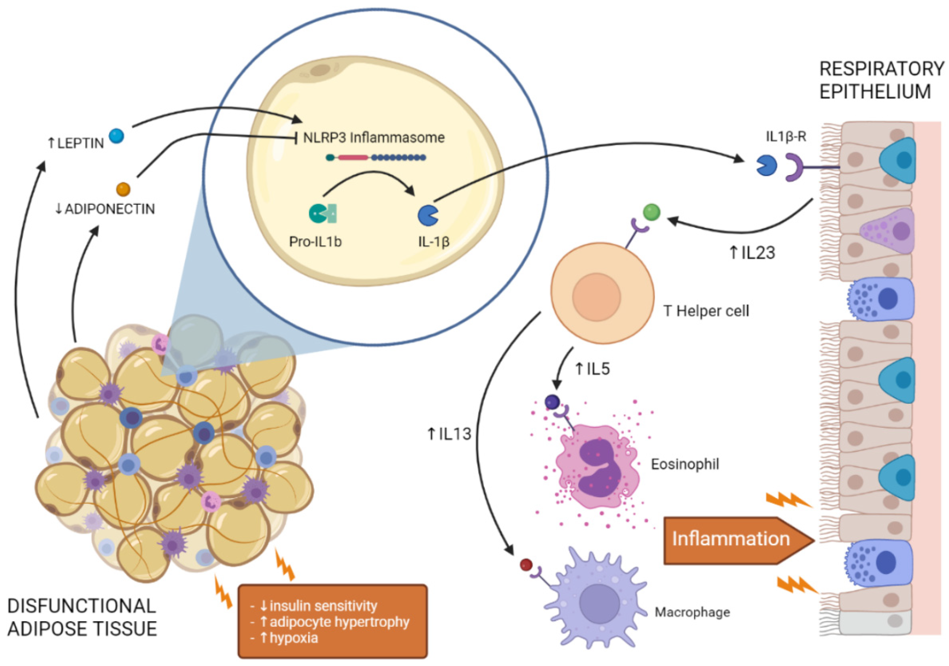 Ijms 23 07349 g001 Ijms 23 07349 g001