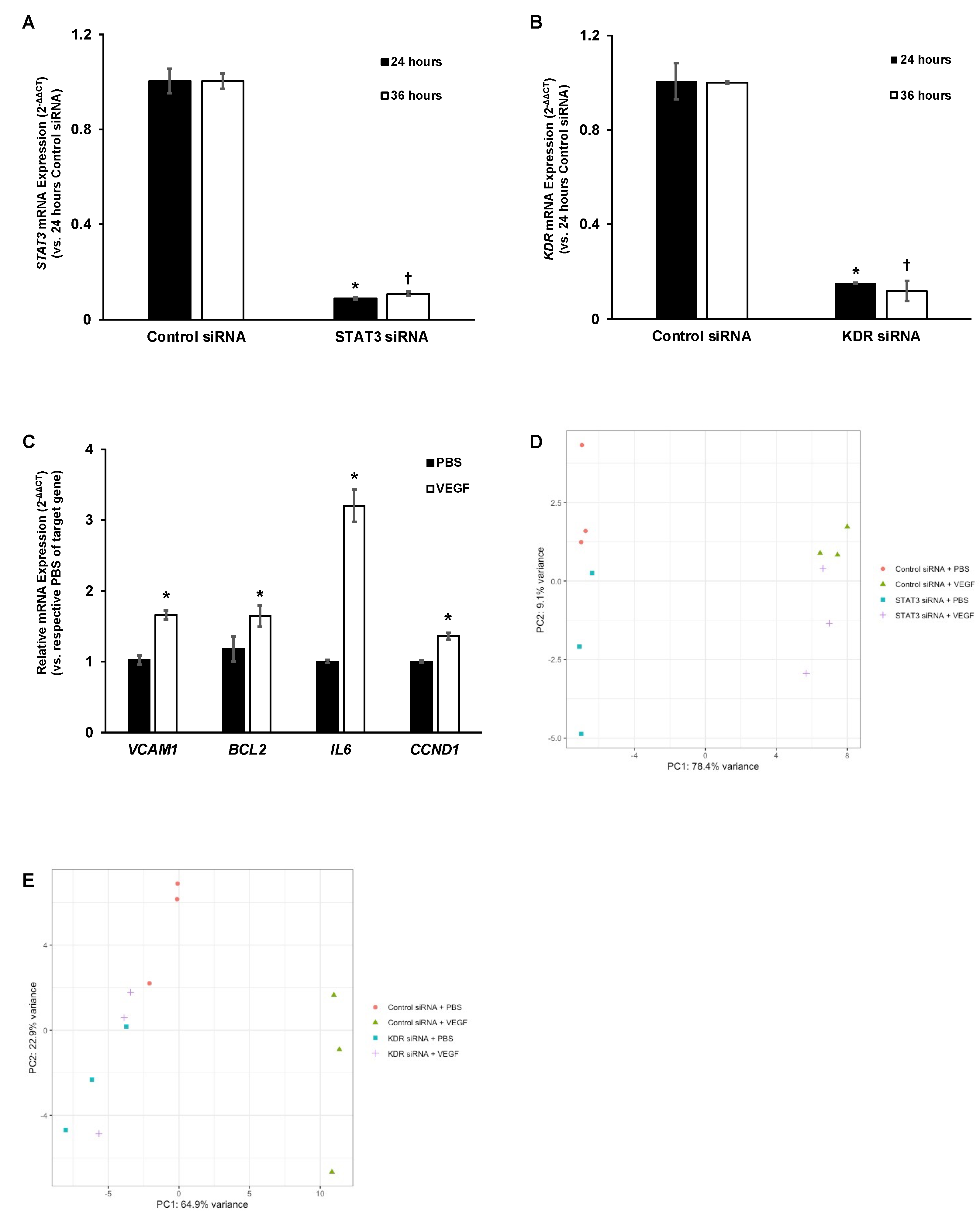 Ijms 23 07354 g001 Ijms 23 07354 g001