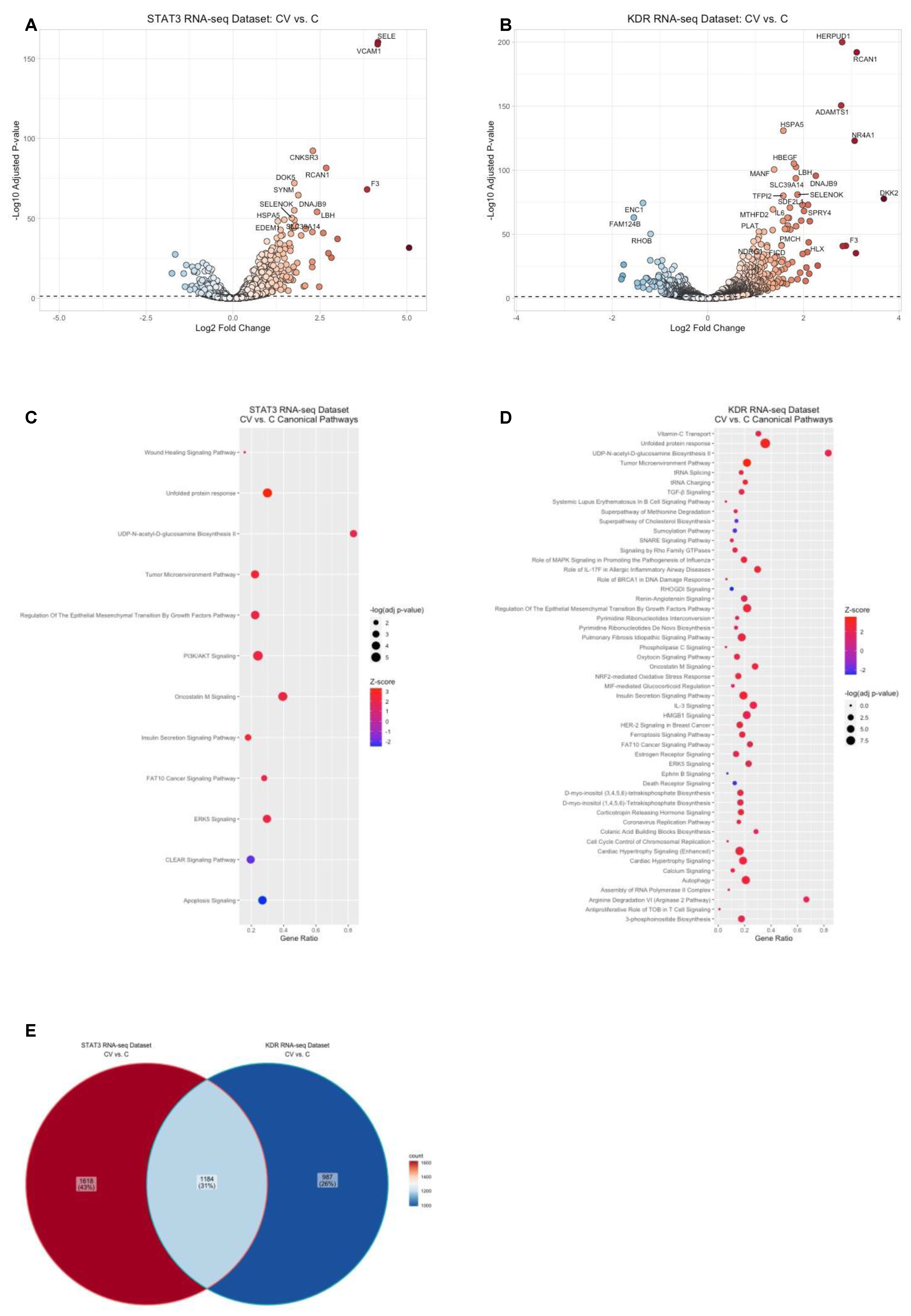 Ijms 23 07354 g002 Ijms 23 07354 g002