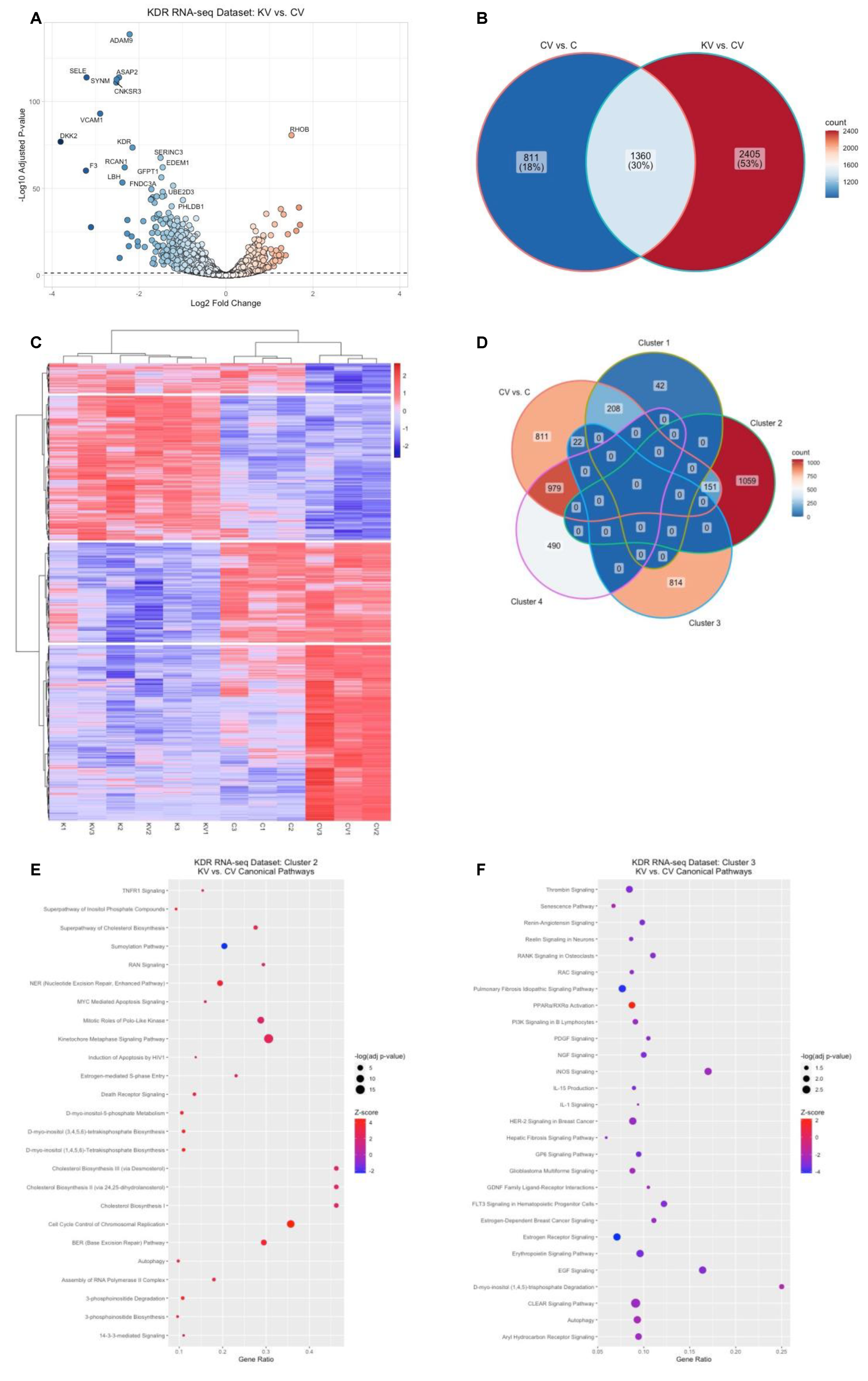 Ijms 23 07354 g003 Ijms 23 07354 g003