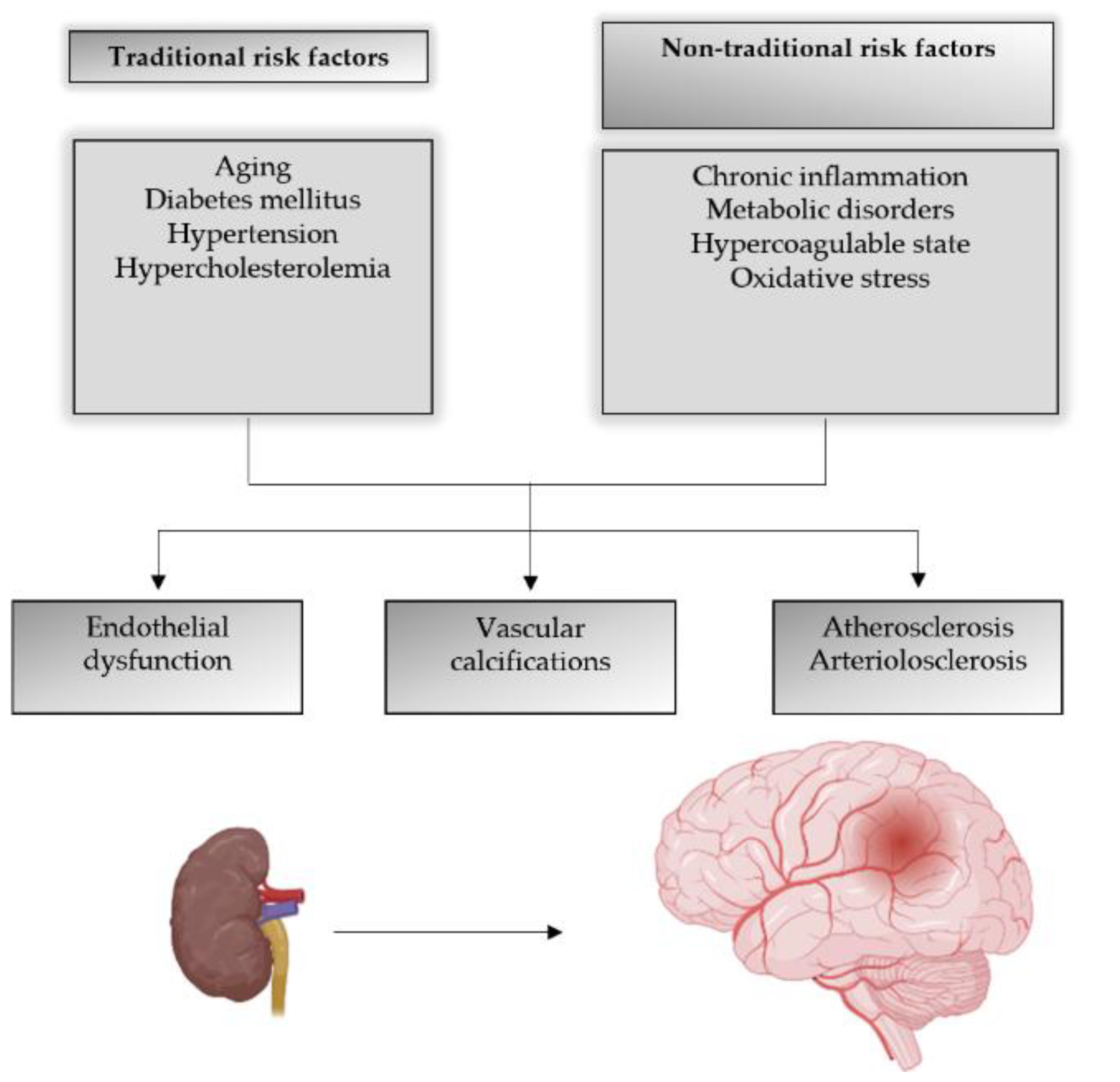 Ijms 23 07362 g001 Ijms 23 07362 g001