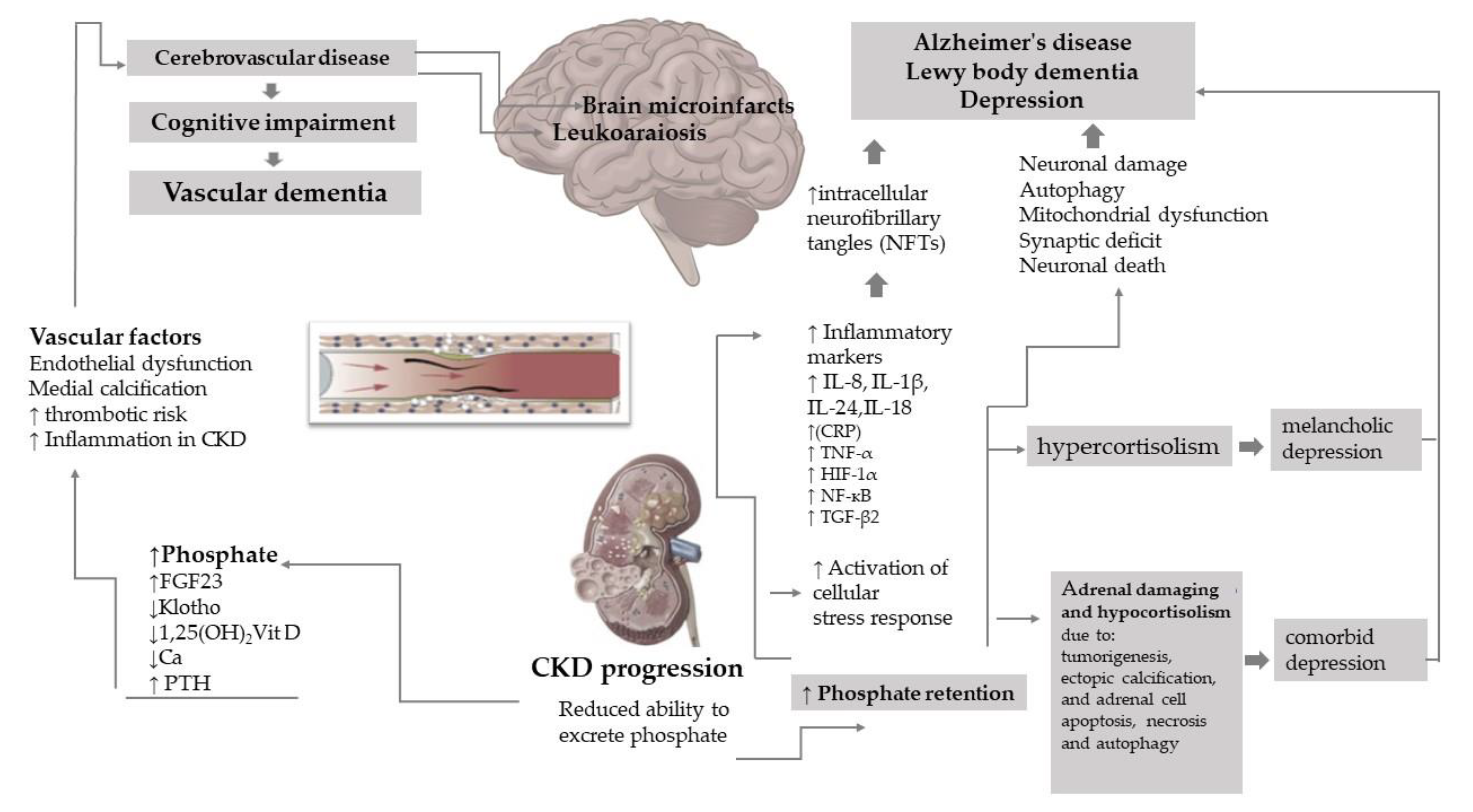 Ijms 23 07362 g002 Ijms 23 07362 g002
