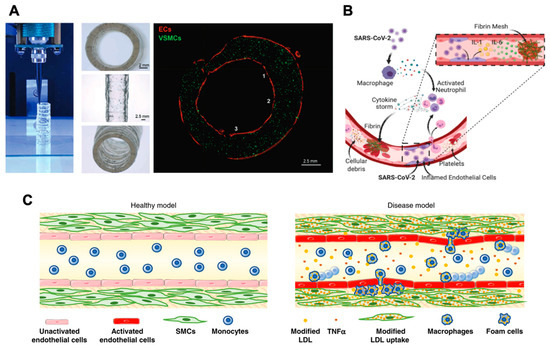 Ijms 23 07416 g002 550