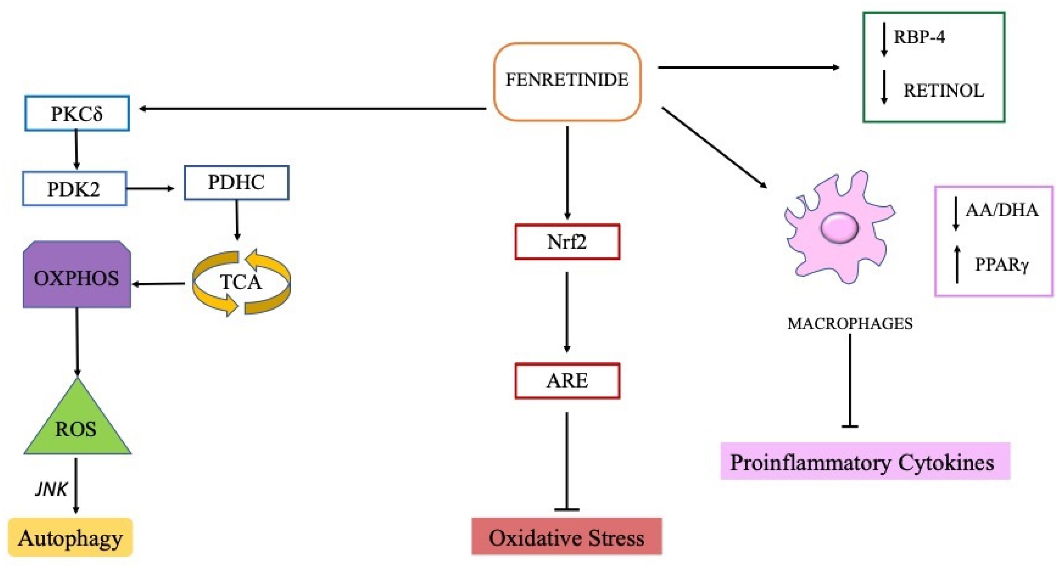 Ijms 23 07426 g002 Ijms 23 07426 g002