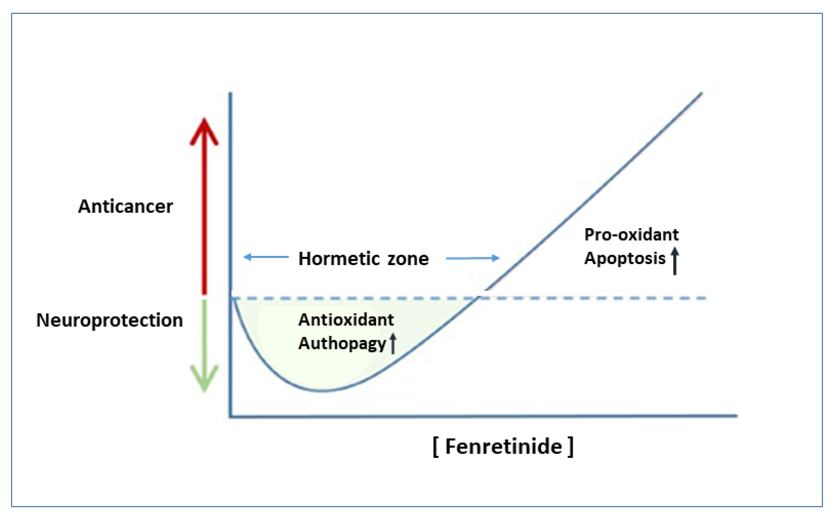 Ijms 23 07426 g003 Ijms 23 07426 g003