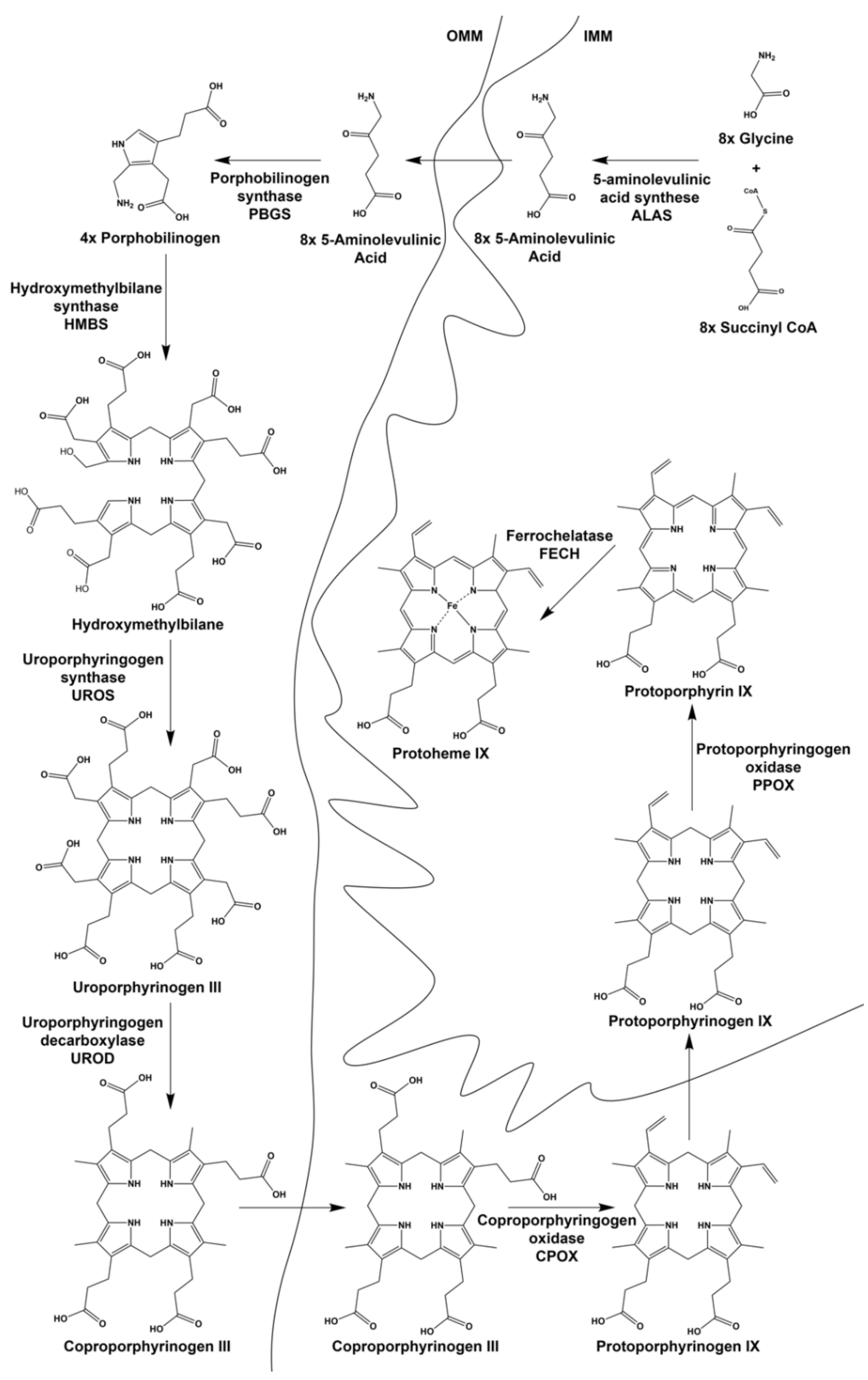 Ijms 23 07467 g002 Ijms 23 07467 g002