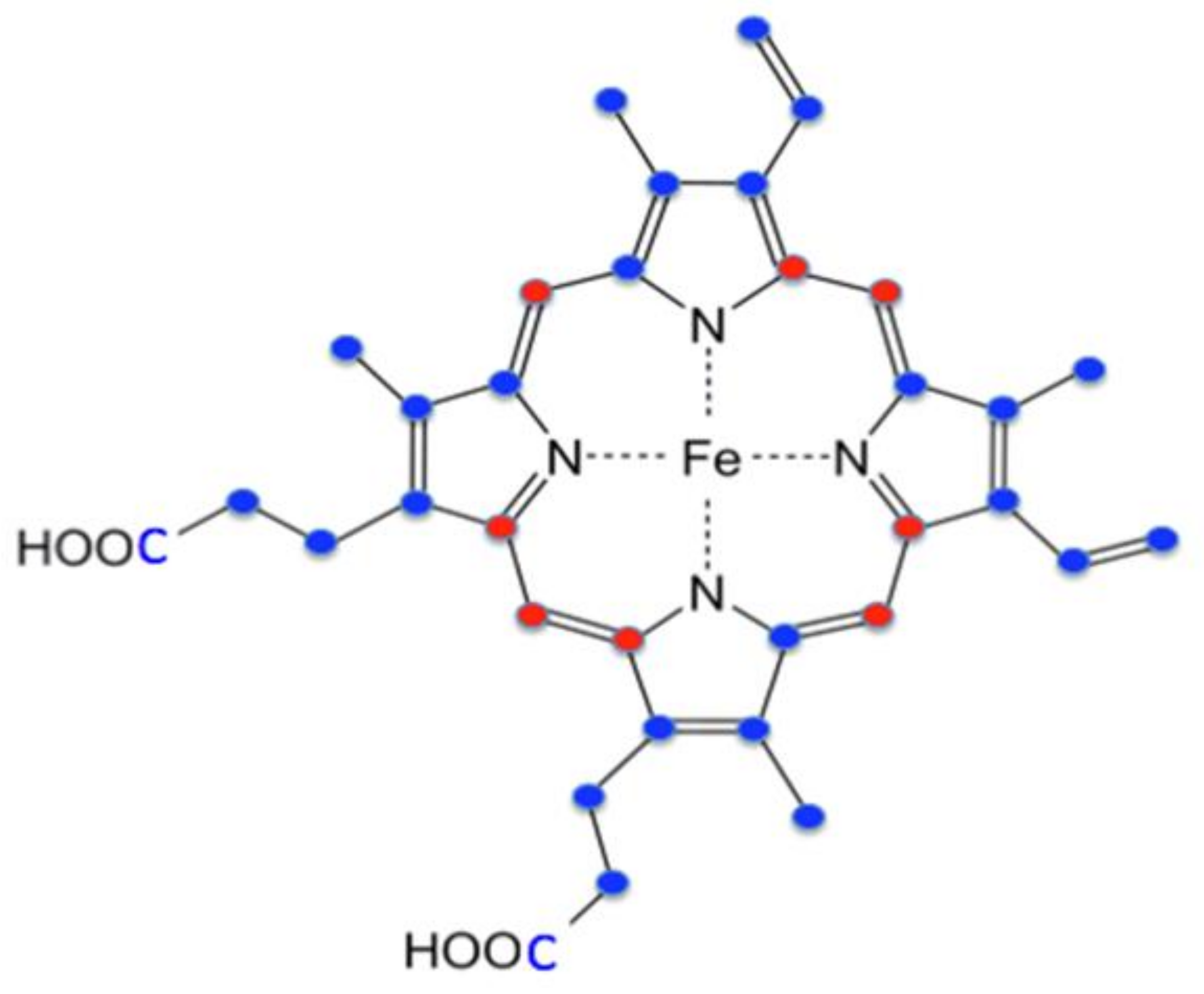 Ijms 23 07467 g004 Ijms 23 07467 g004