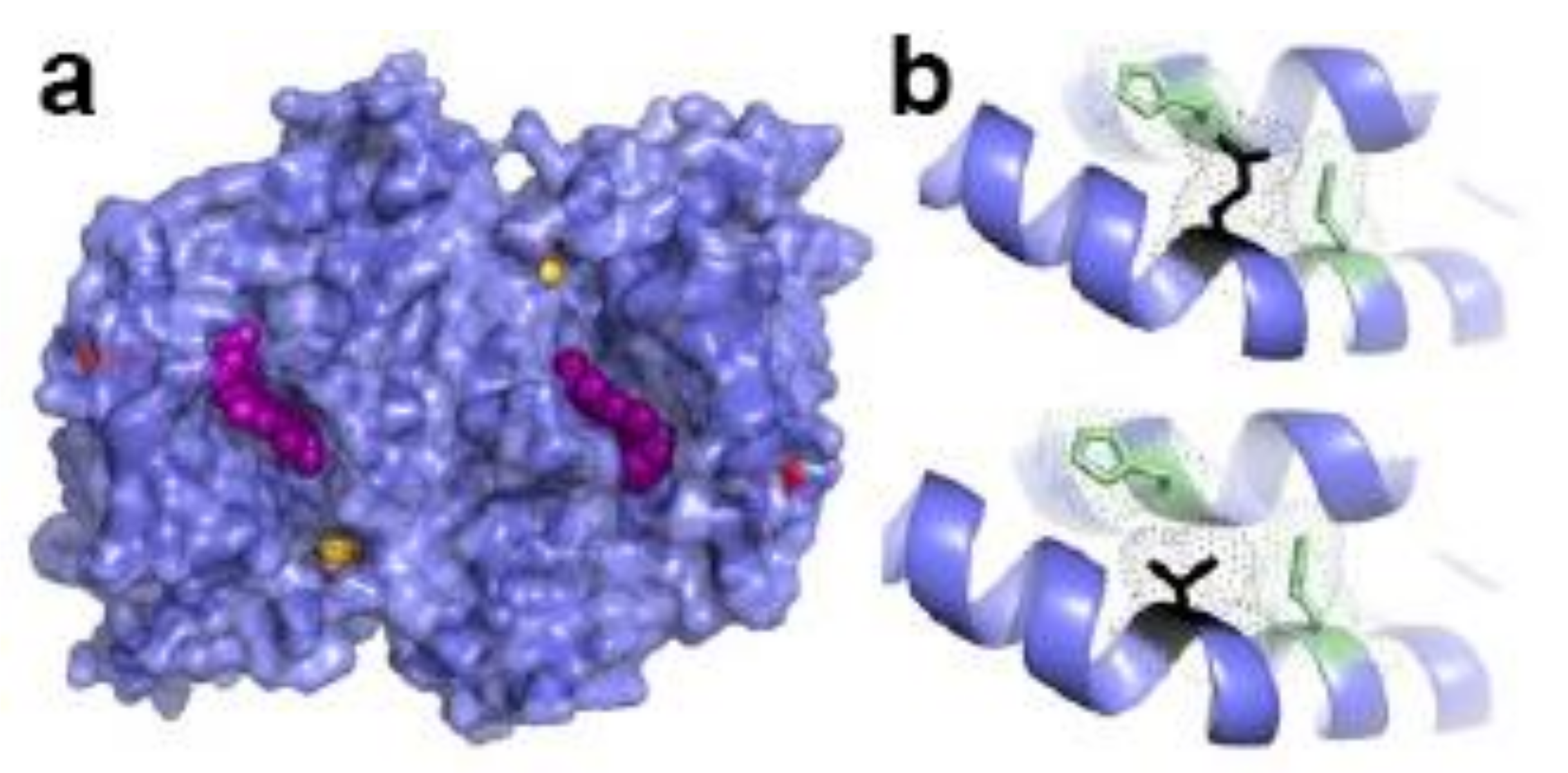 Ijms 23 07467 g007 Ijms 23 07467 g007