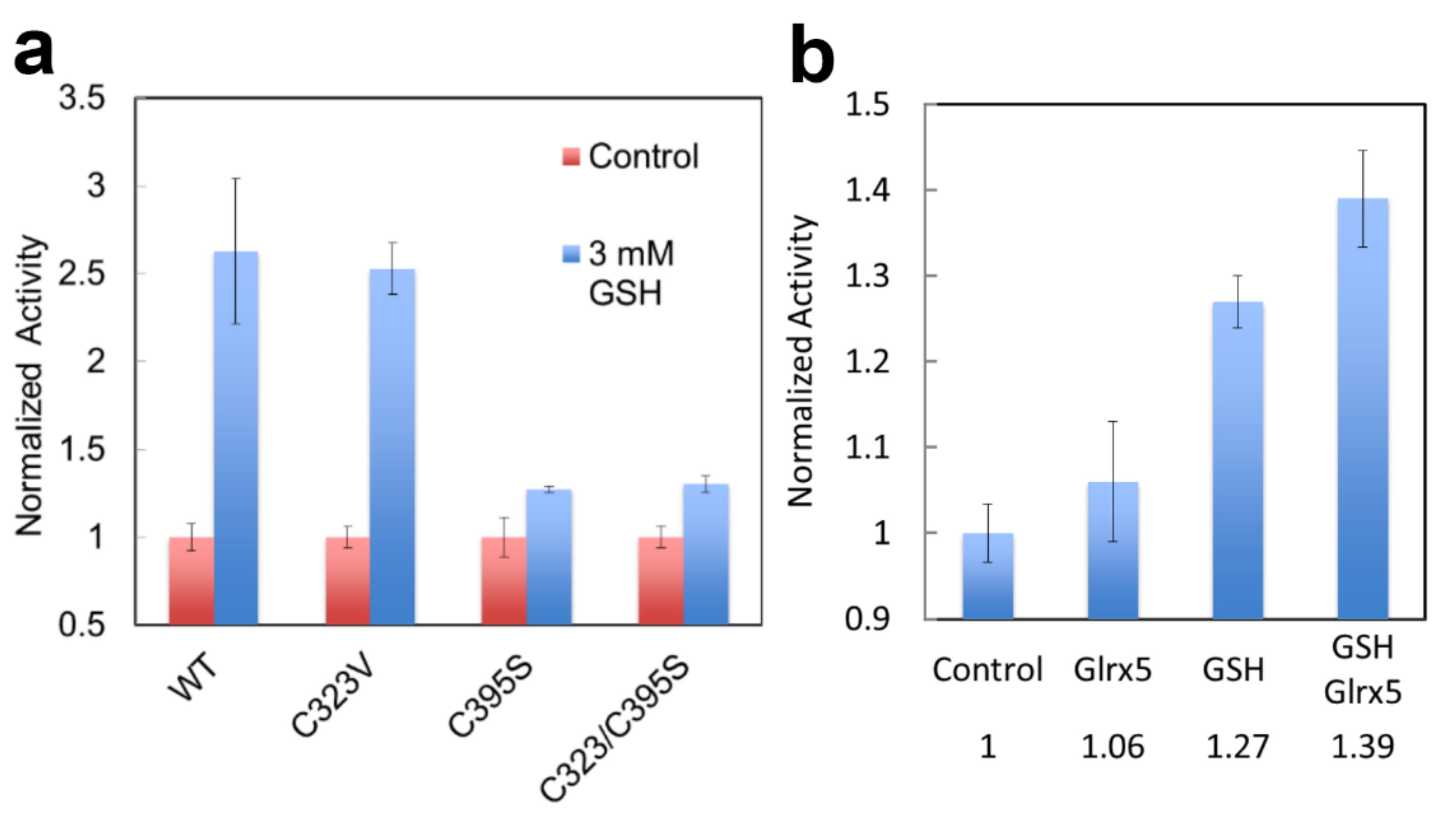 Ijms 23 07467 g009 Ijms 23 07467 g009
