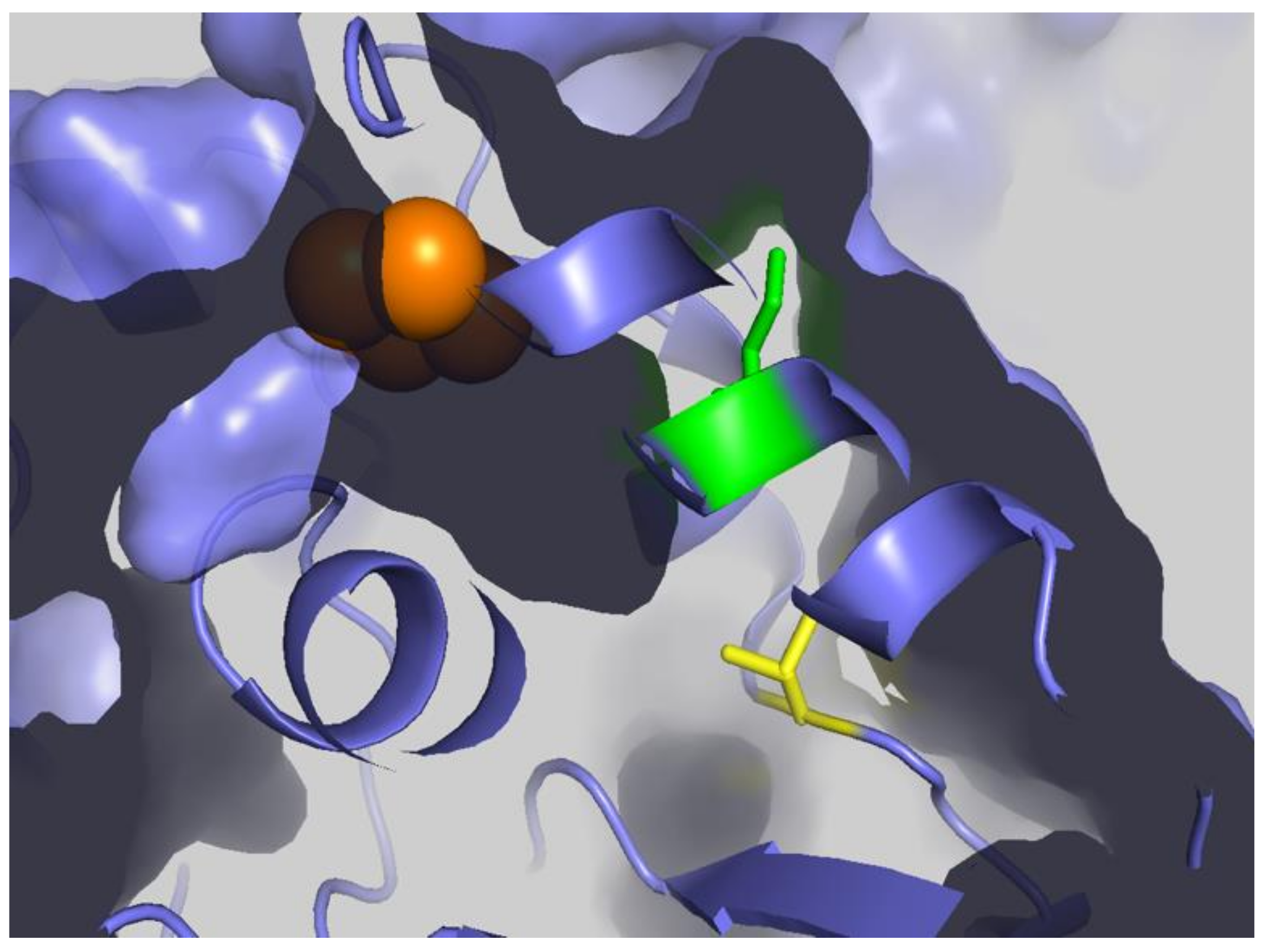 Ijms 23 07467 g011 Ijms 23 07467 g011