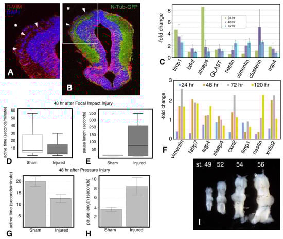 Ijms 23 07578 g0a1 550