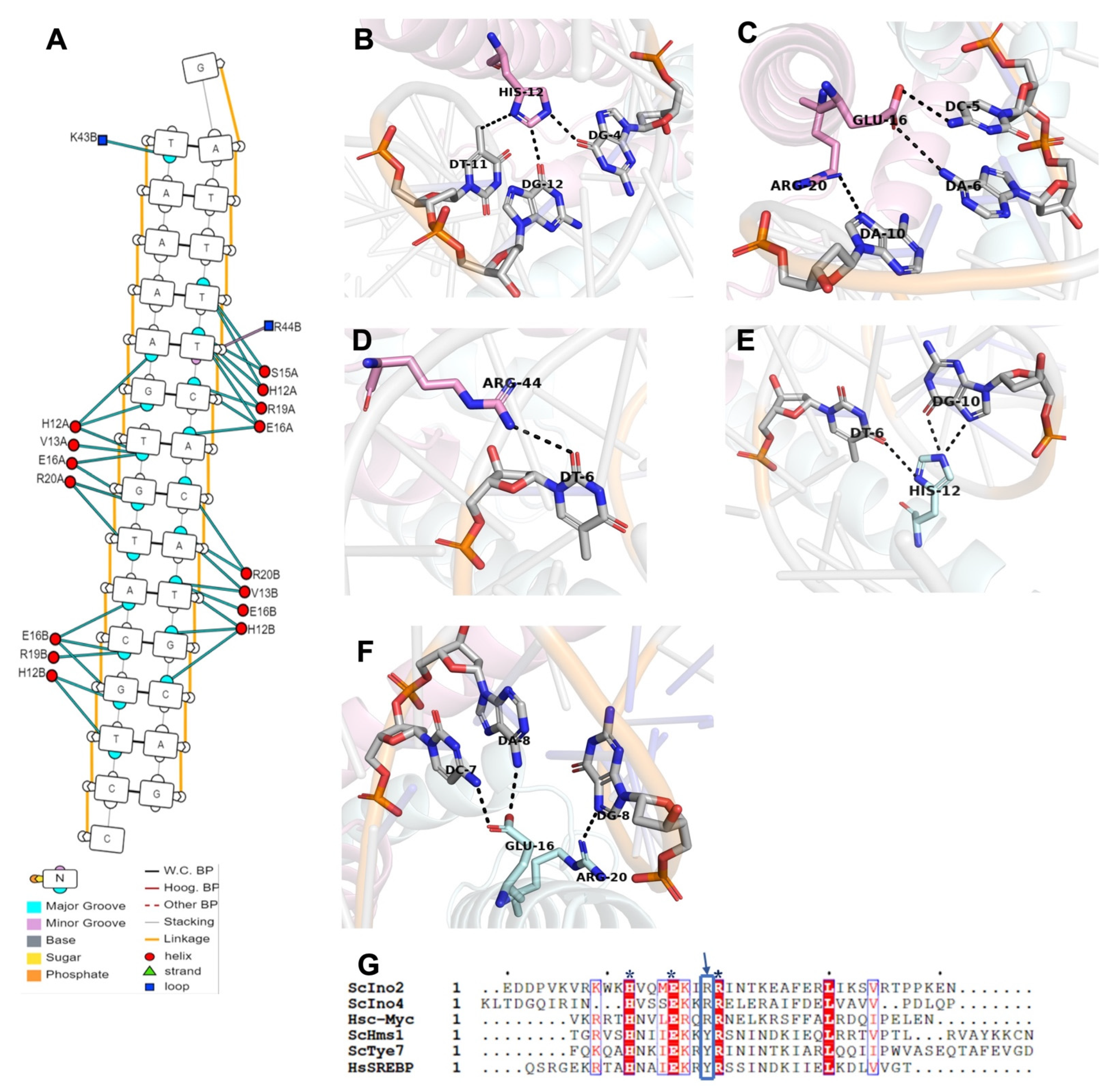 Ijms 23 07600 g003 Ijms 23 07600 g003