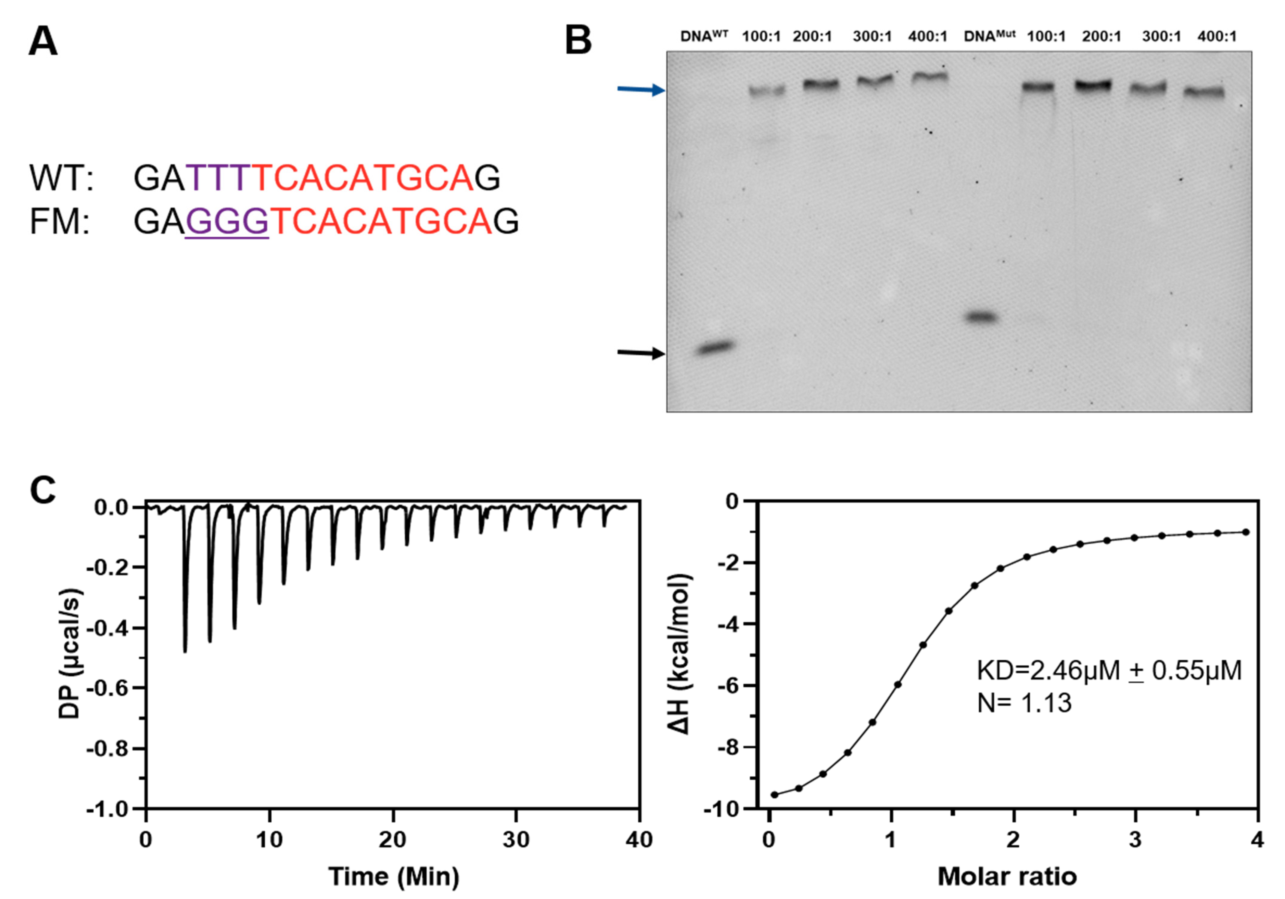 Ijms 23 07600 g005 Ijms 23 07600 g005