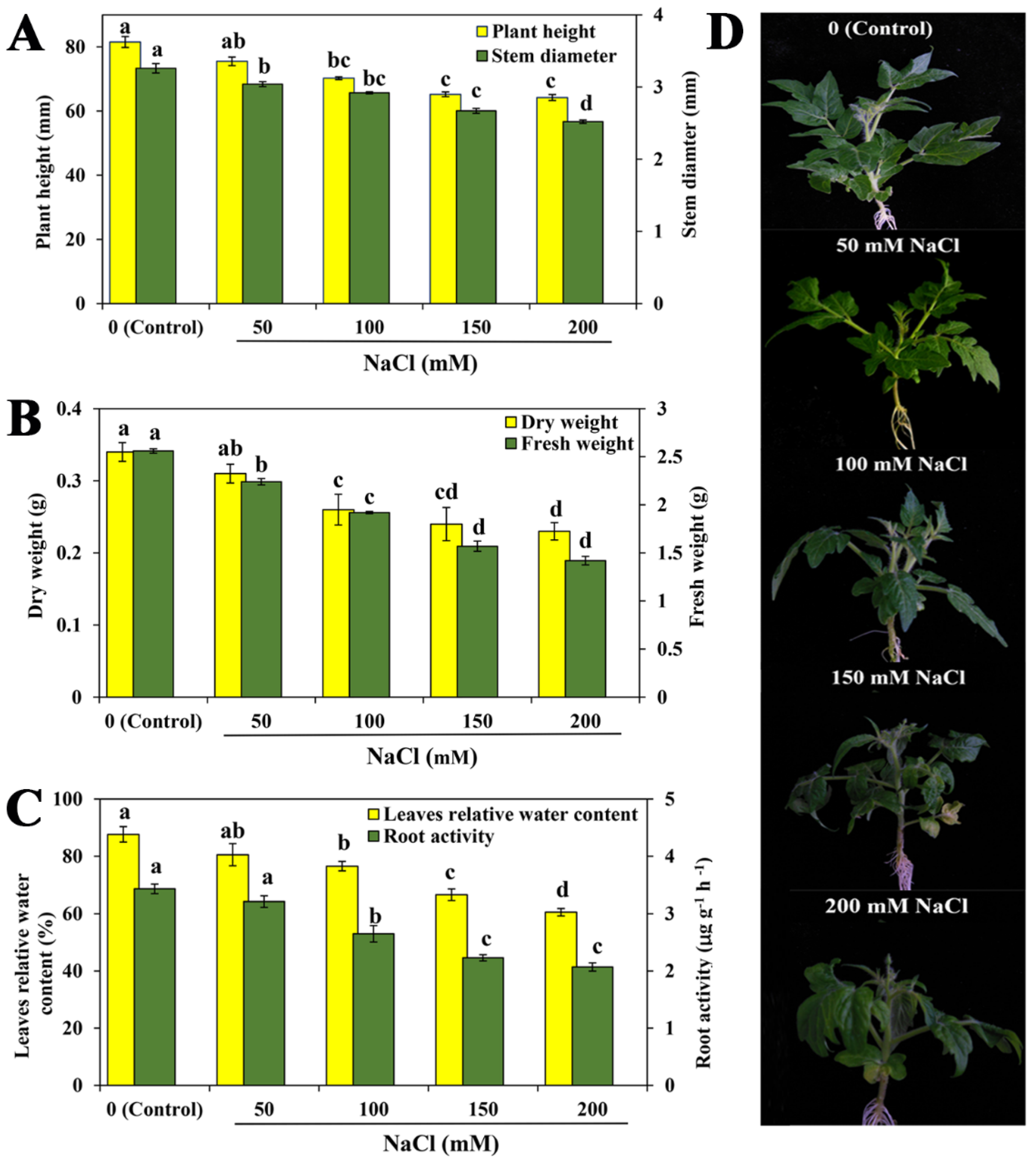 Ijms 23 07645 g001 Ijms 23 07645 g001
