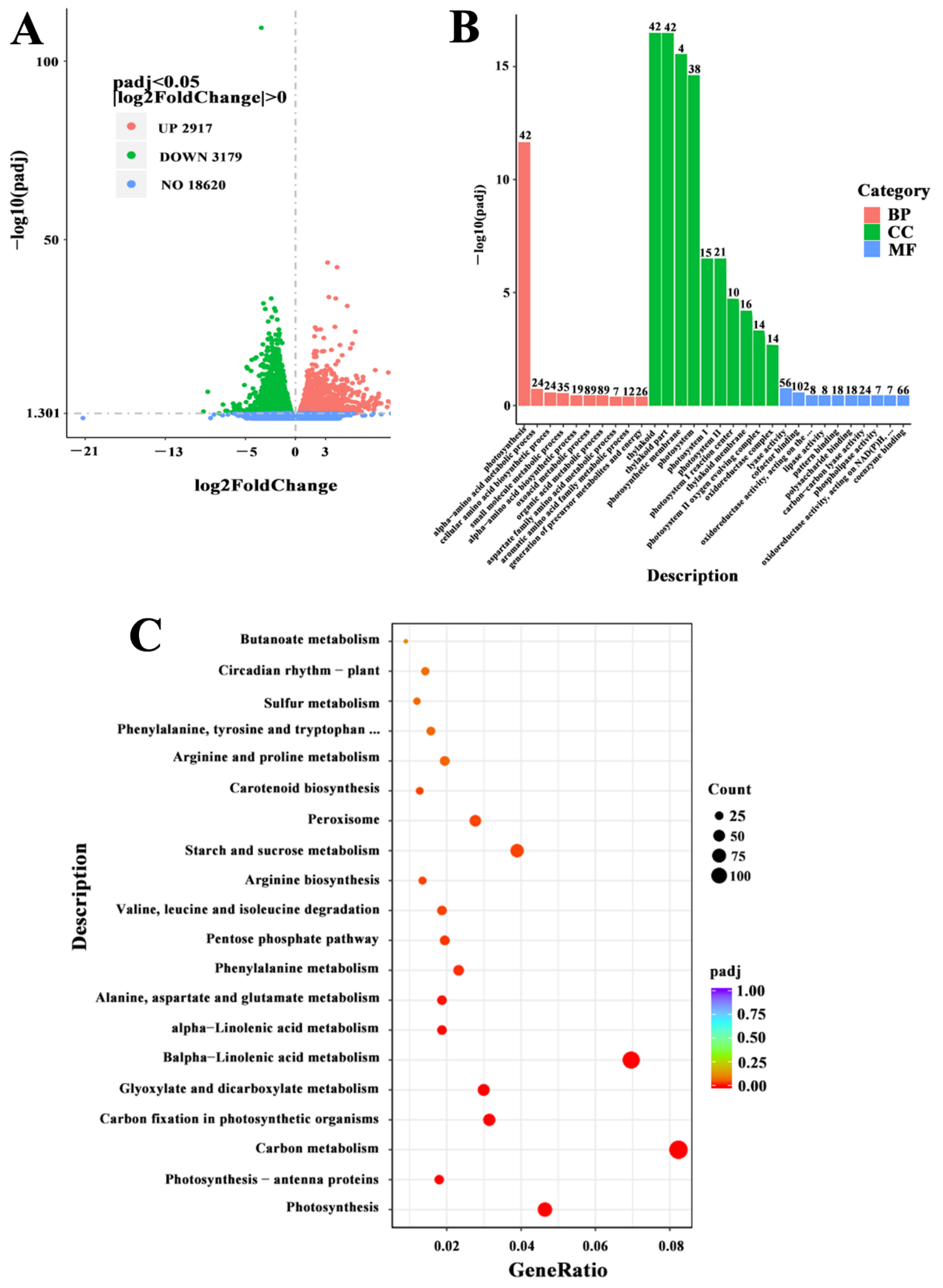 Ijms 23 07645 g002 Ijms 23 07645 g002