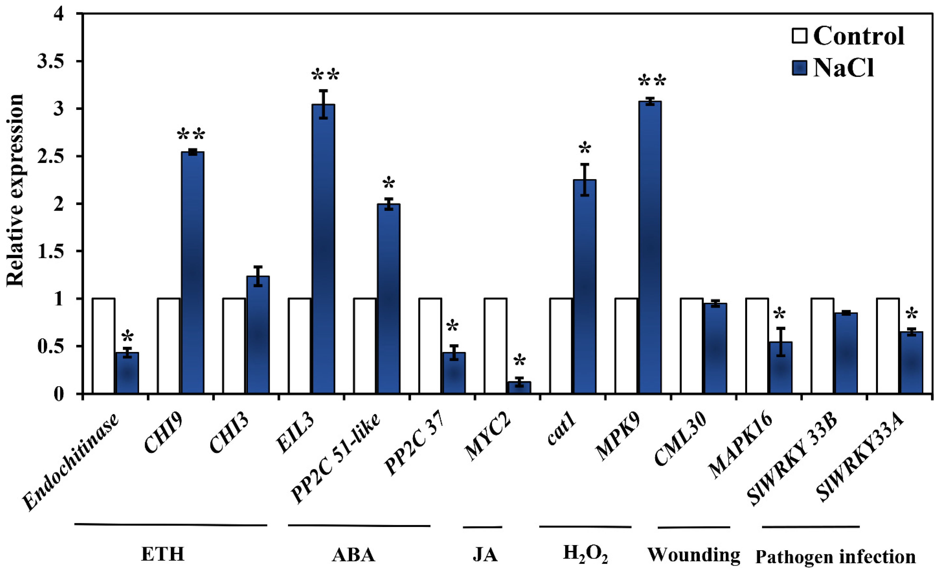 Ijms 23 07645 g004 Ijms 23 07645 g004