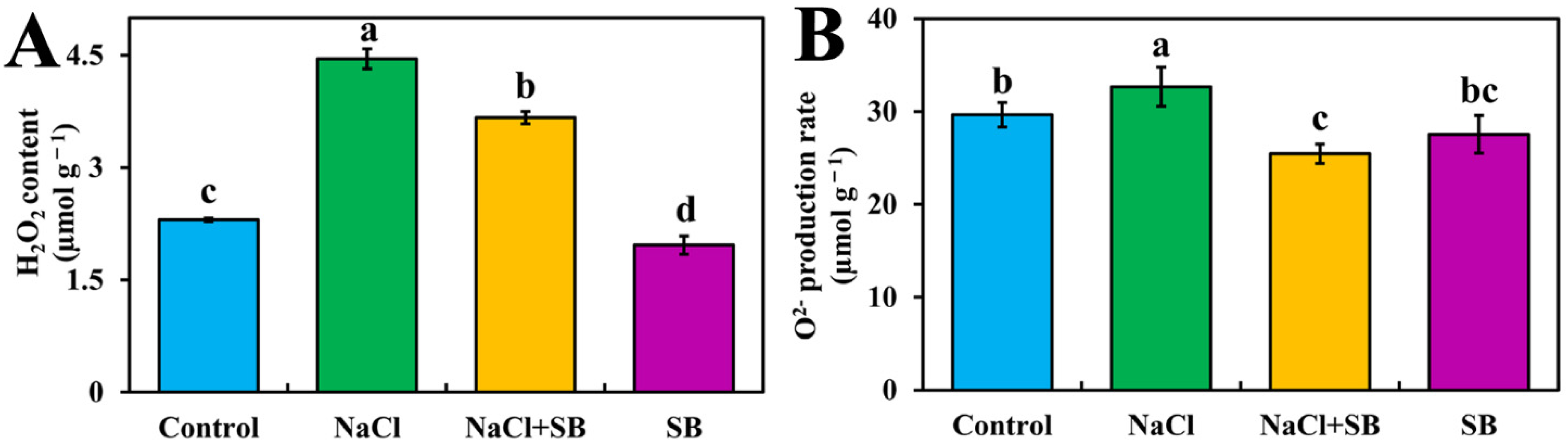 Ijms 23 07645 g006 Ijms 23 07645 g006