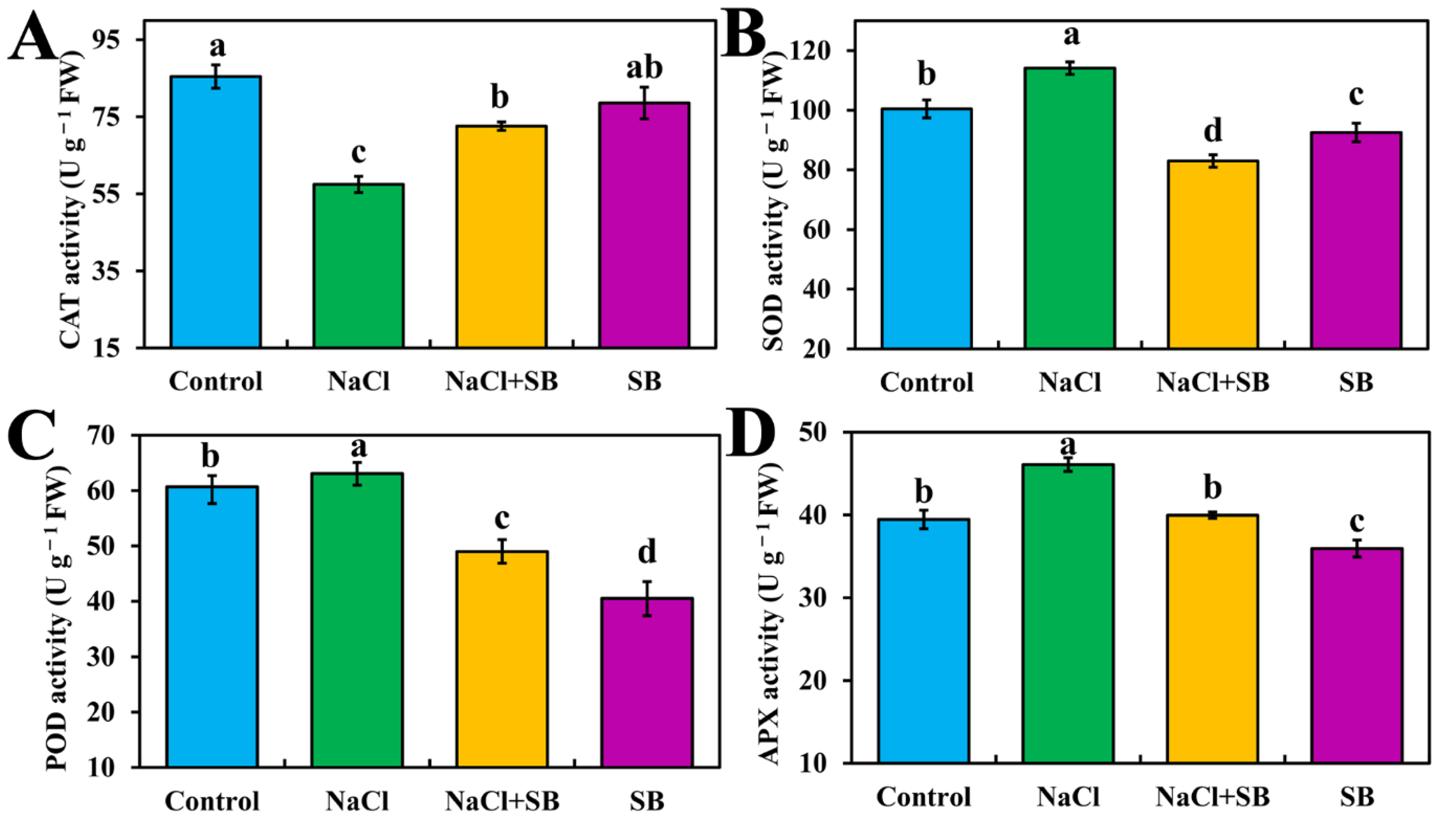 Ijms 23 07645 g007 Ijms 23 07645 g007