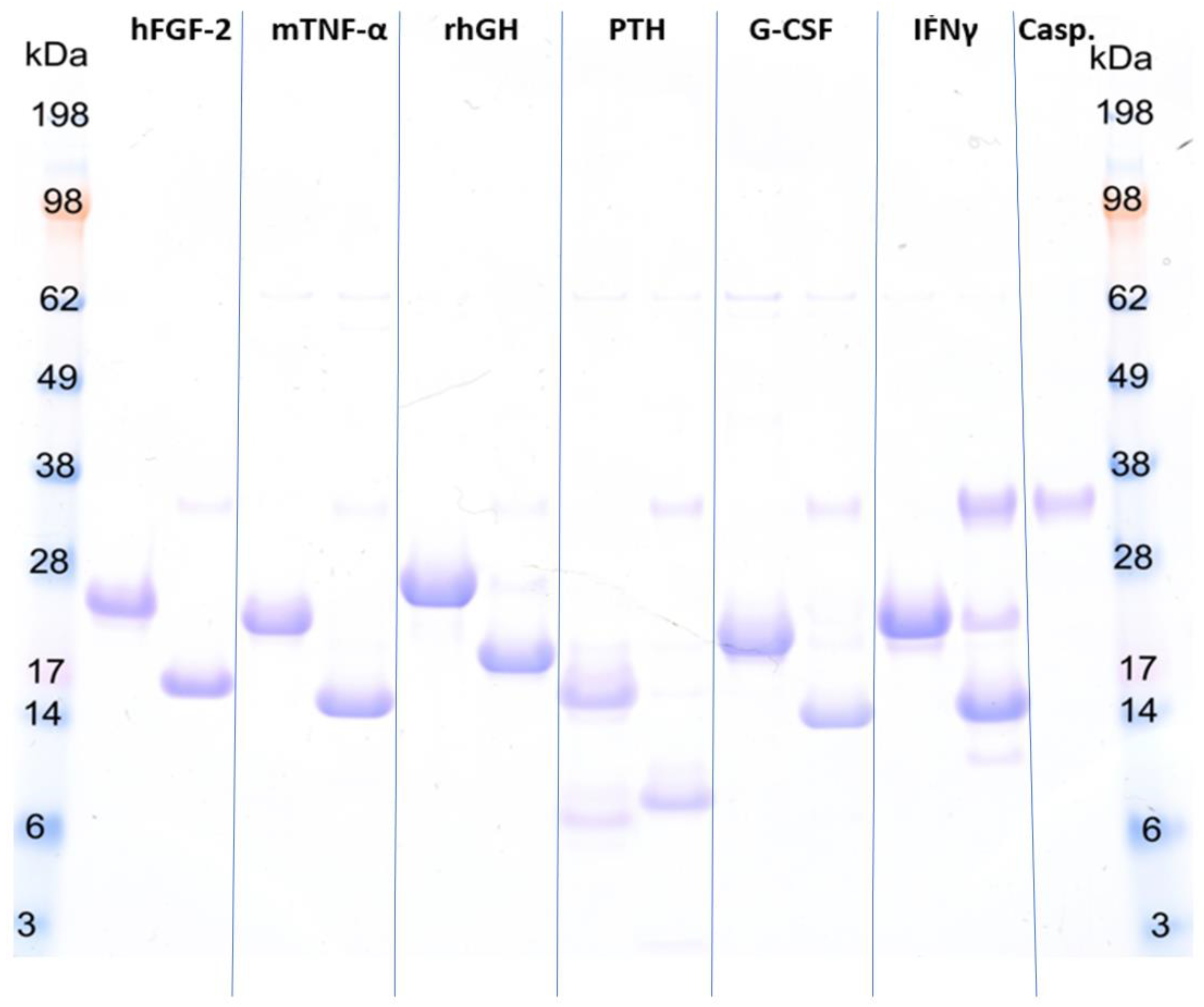 Ijms 23 07678 g003 Ijms 23 07678 g003