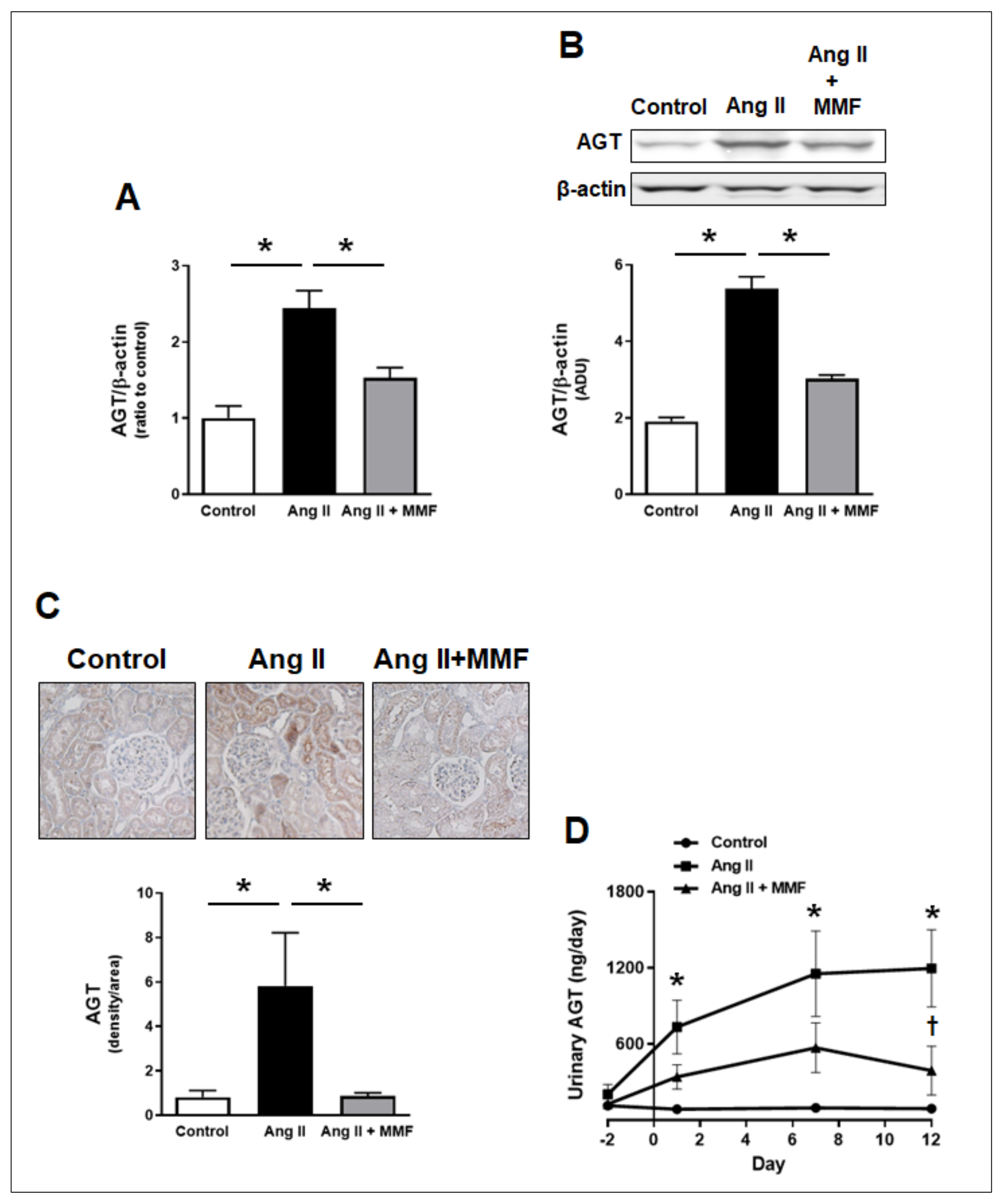 Ijms 23 07680 g003 Ijms 23 07680 g003