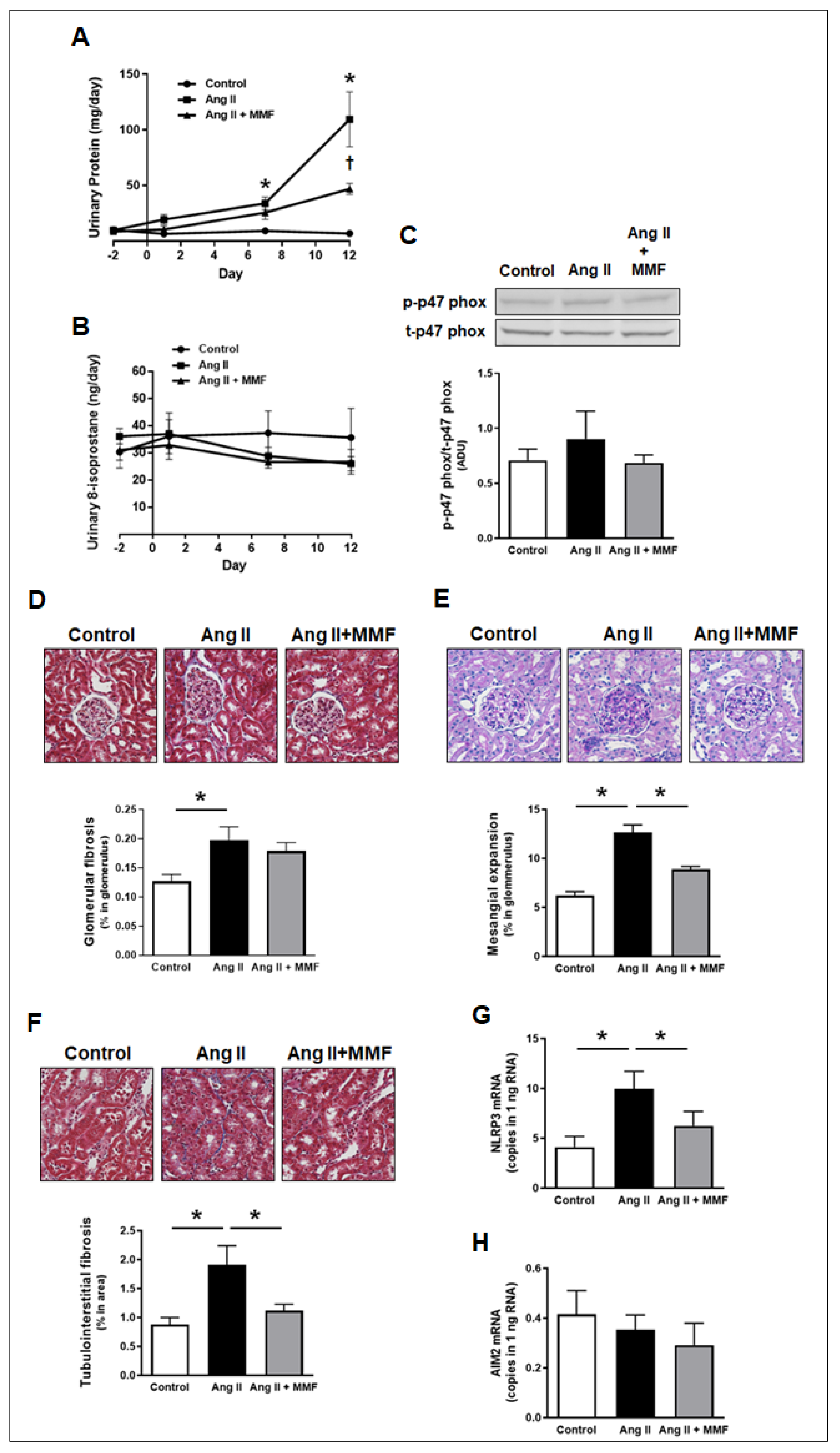 Ijms 23 07680 g004 Ijms 23 07680 g004