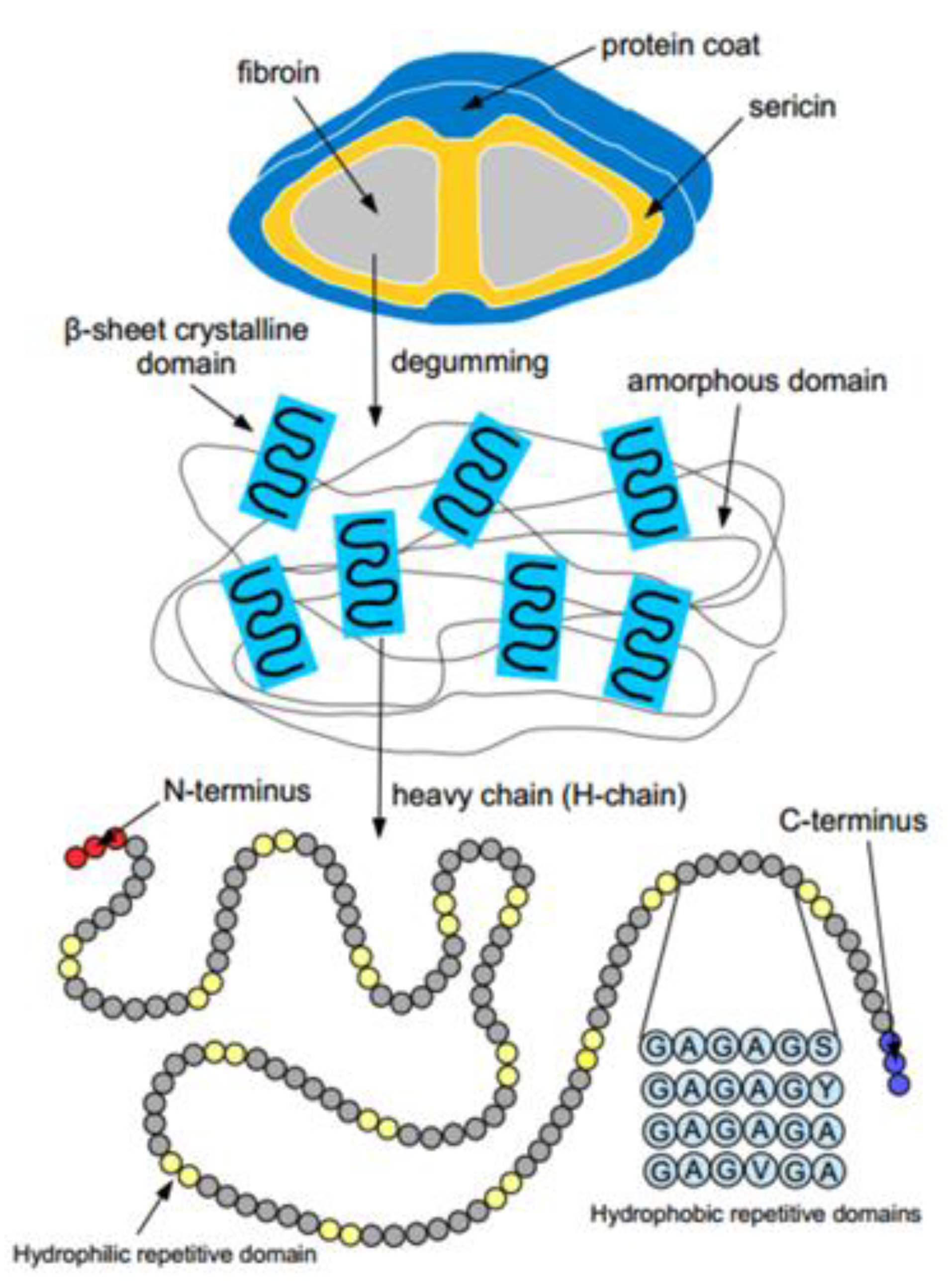 Ijms 23 07687 g002 Ijms 23 07687 g002