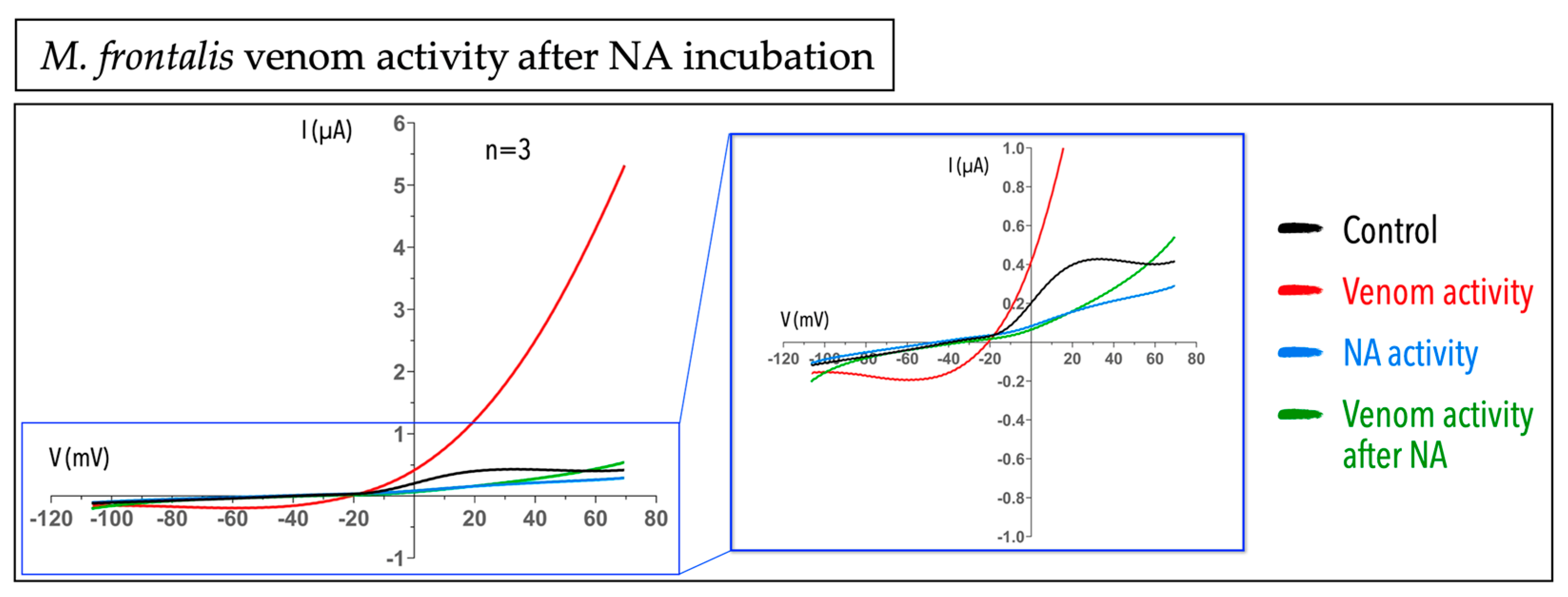 Ijms 23 07714 g004 Ijms 23 07714 g004
