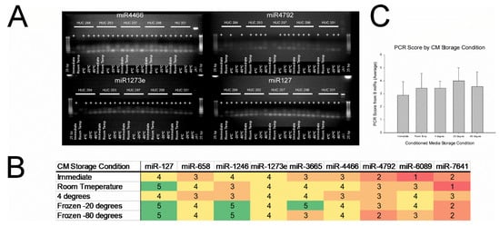 Ijms 23 07716 g008 550