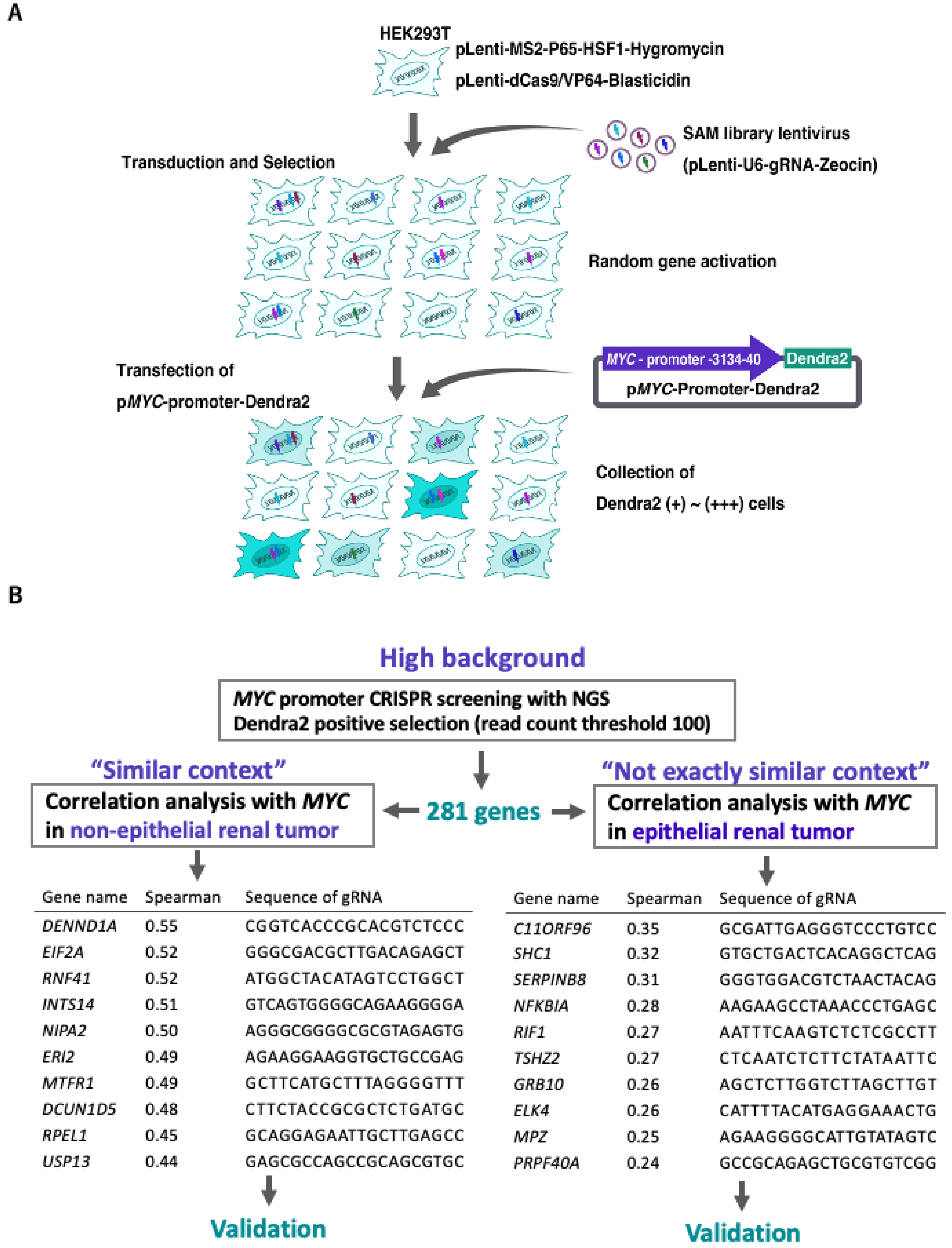 Ijms 23 07723 g001 Ijms 23 07723 g001