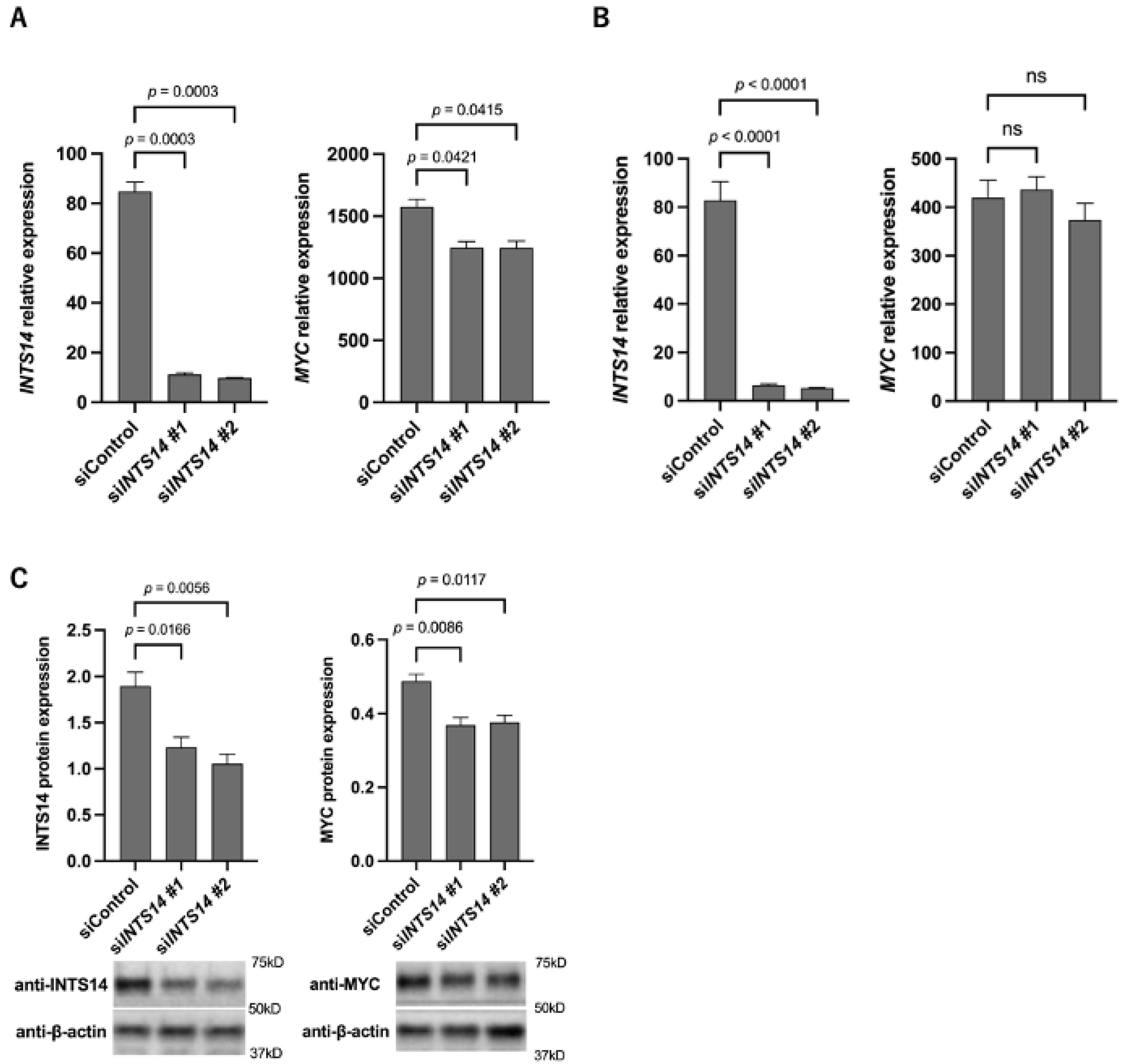 Ijms 23 07723 g004 Ijms 23 07723 g004