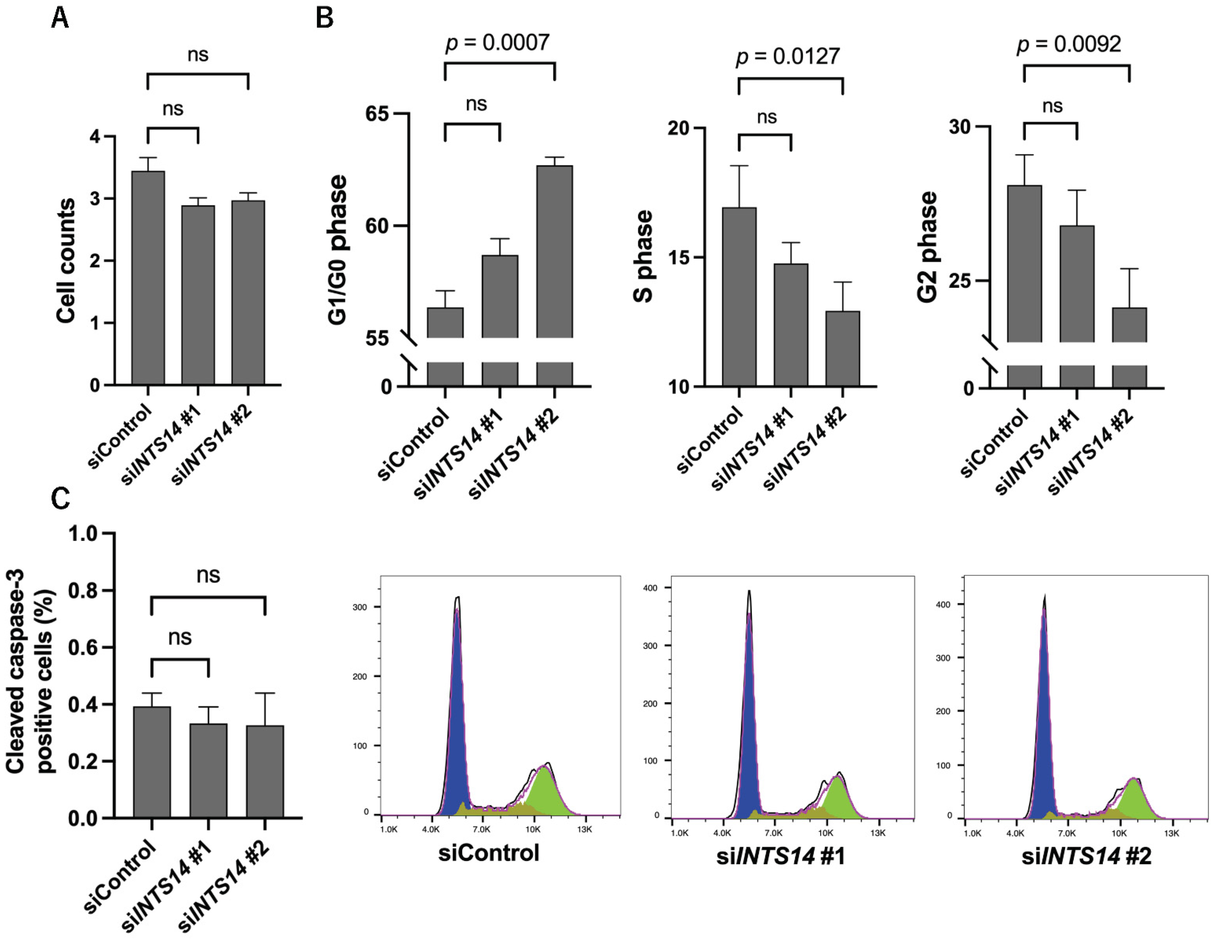 Ijms 23 07723 g005 Ijms 23 07723 g005