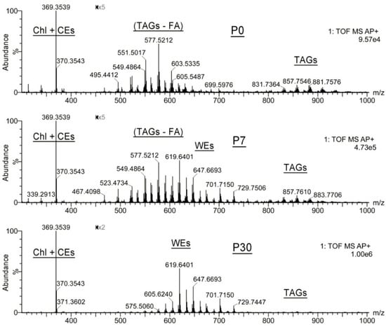 Ijms 23 07884 g002 550