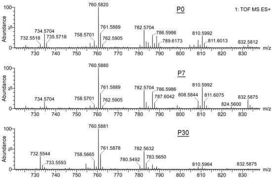 Ijms 23 07884 g003 550