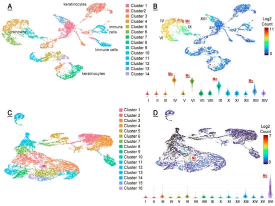 Ijms 23 07884 g011 550