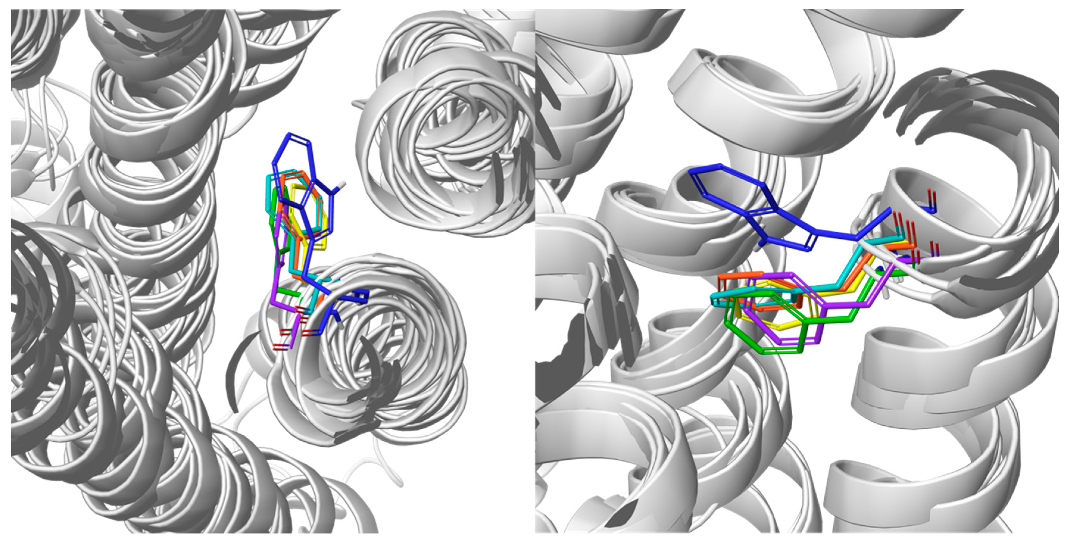 Ijms 23 07917 g004 Ijms 23 07917 g004