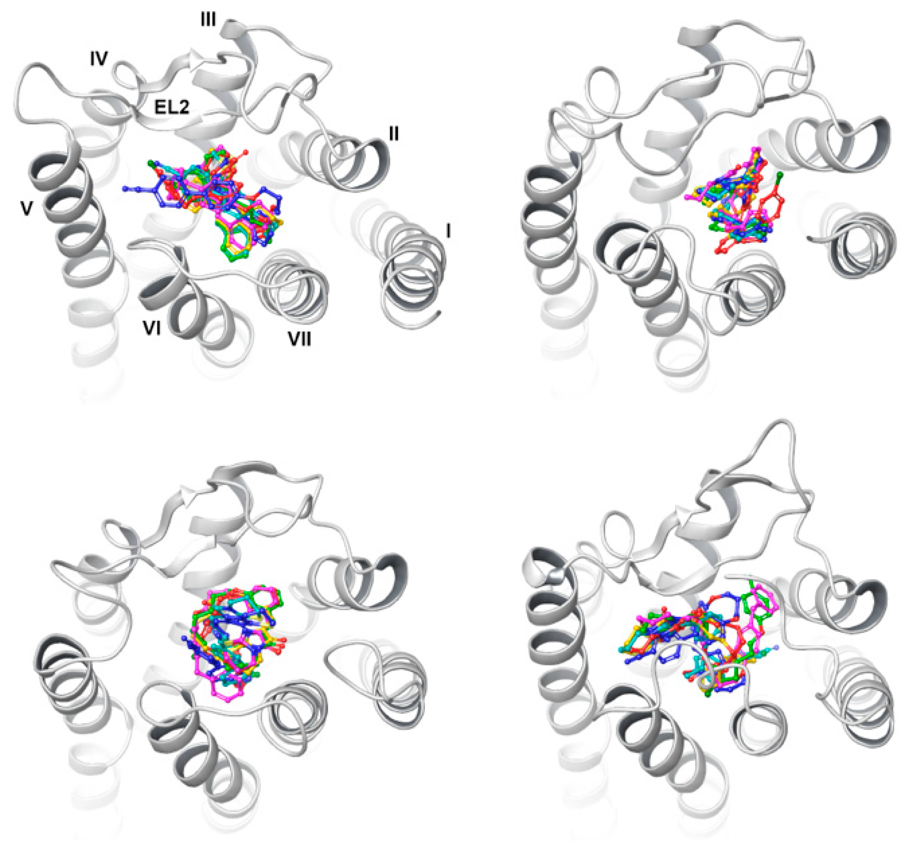 Ijms 23 07917 g007 Ijms 23 07917 g007