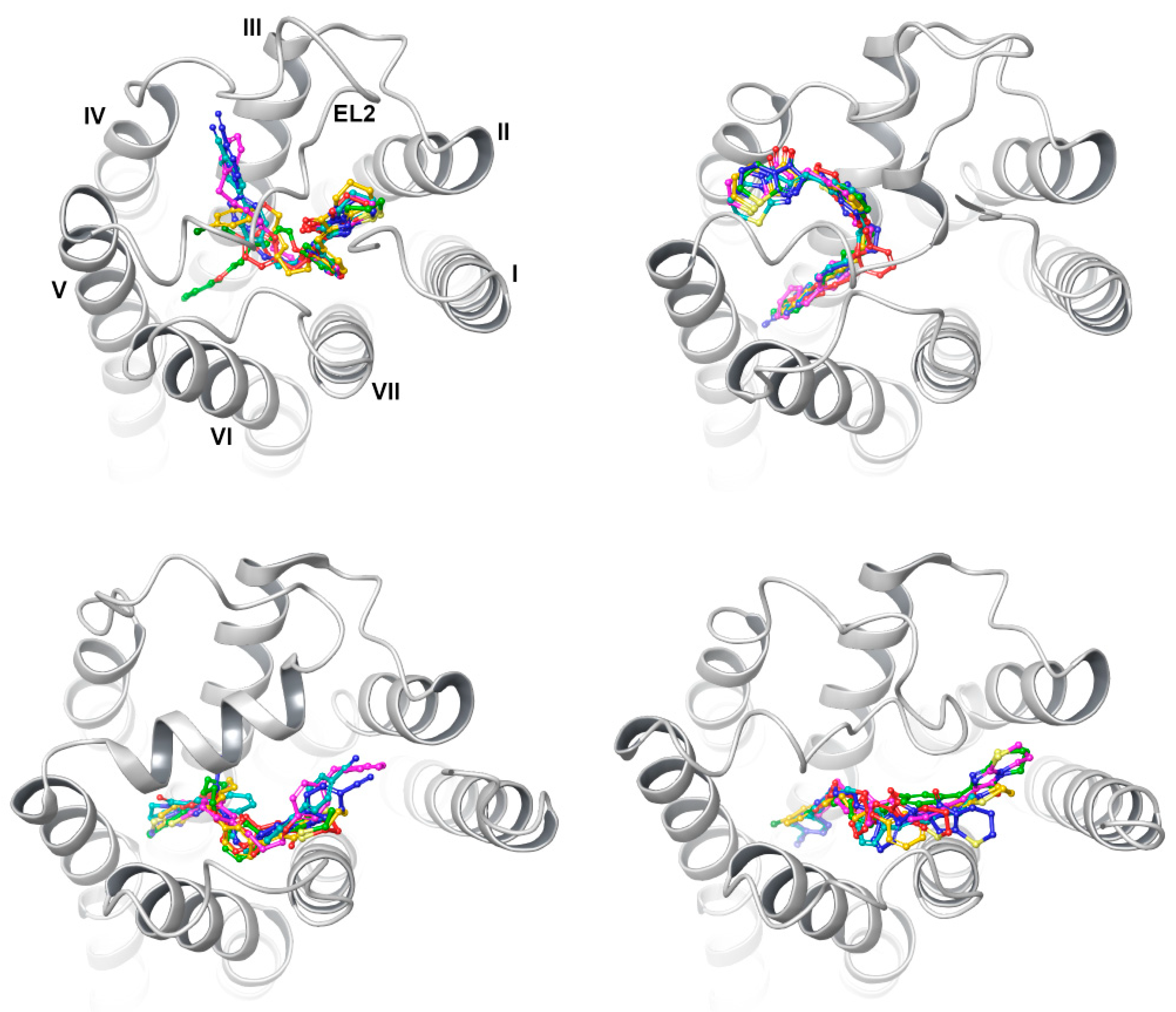 Ijms 23 07917 g008 Ijms 23 07917 g008