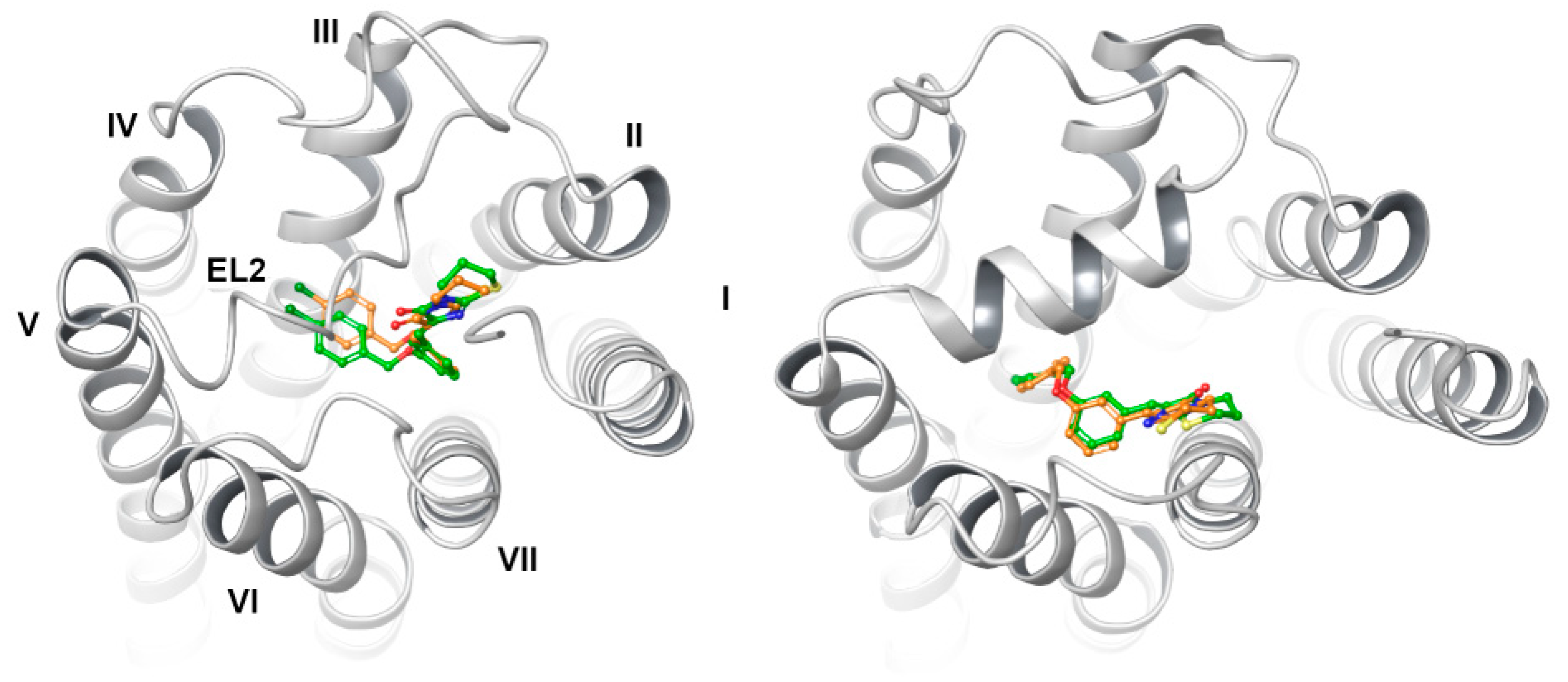 Ijms 23 07917 g009 Ijms 23 07917 g009