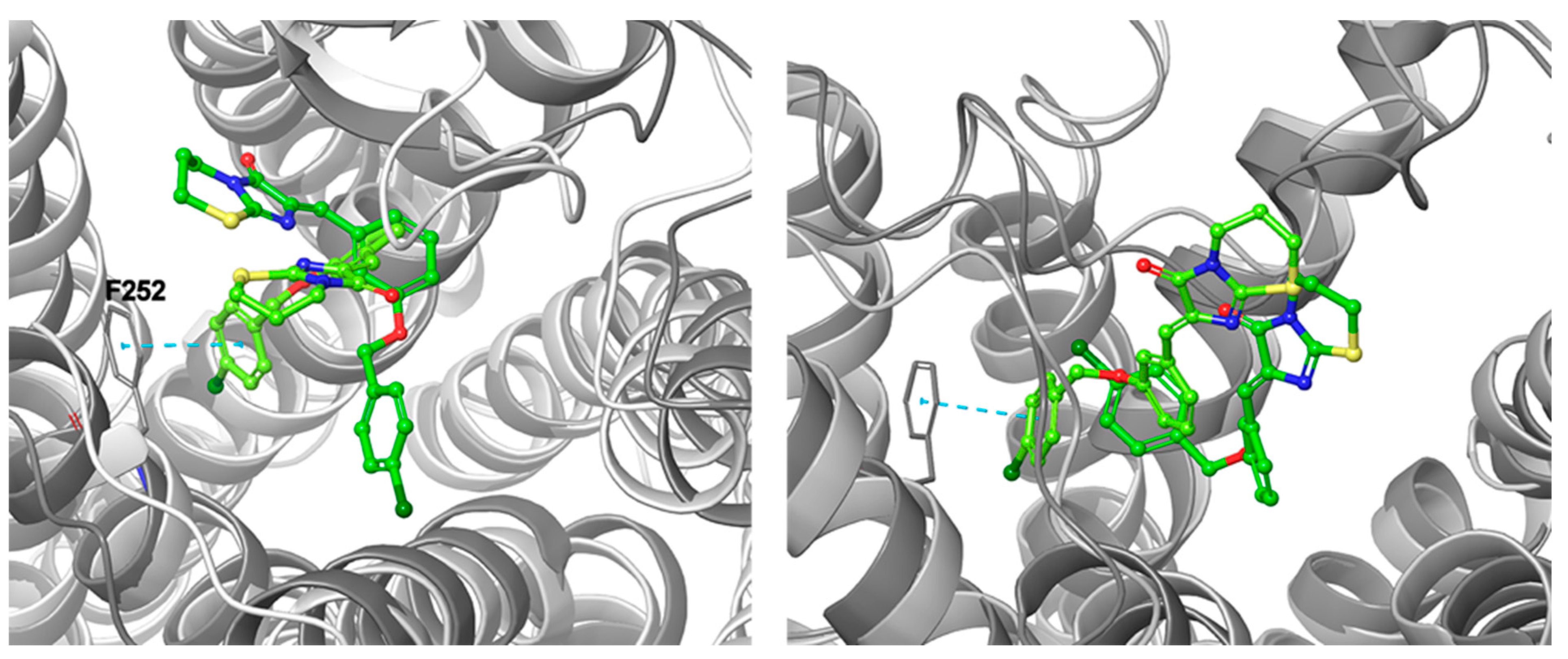 Ijms 23 07917 g011 Ijms 23 07917 g011