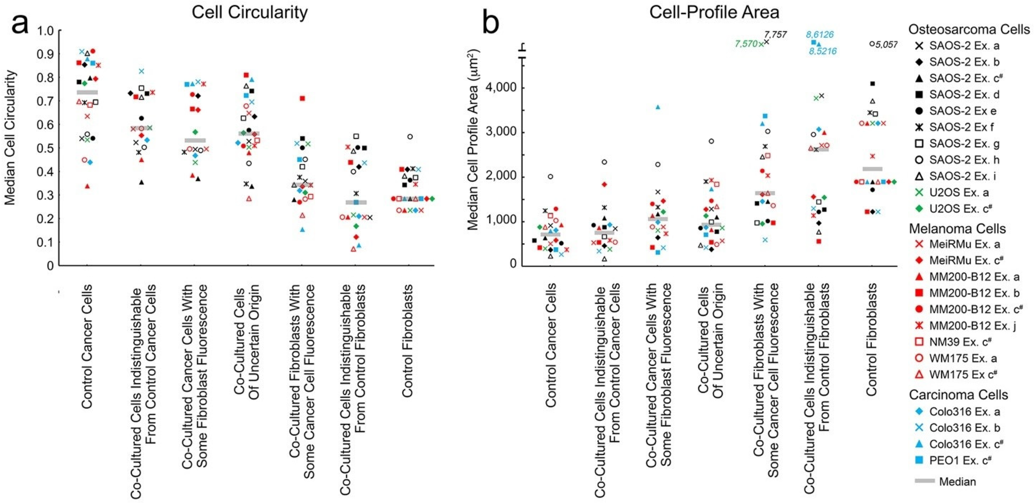 Ijms 23 07949 g004 Ijms 23 07949 g004
