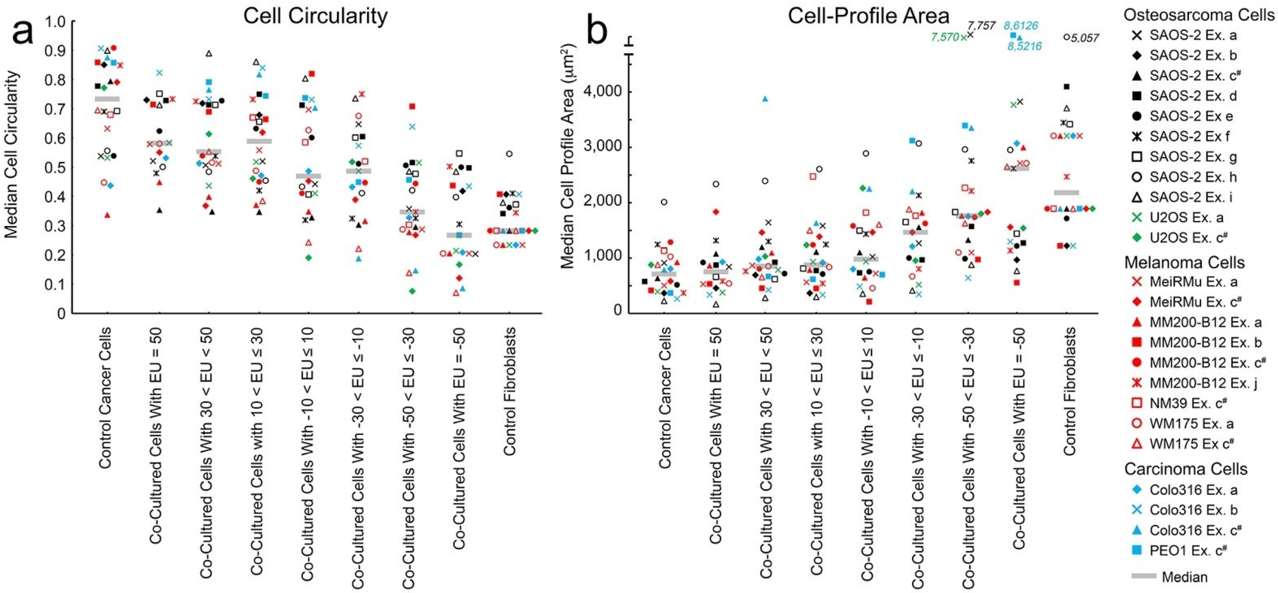 Ijms 23 07949 g005 Ijms 23 07949 g005
