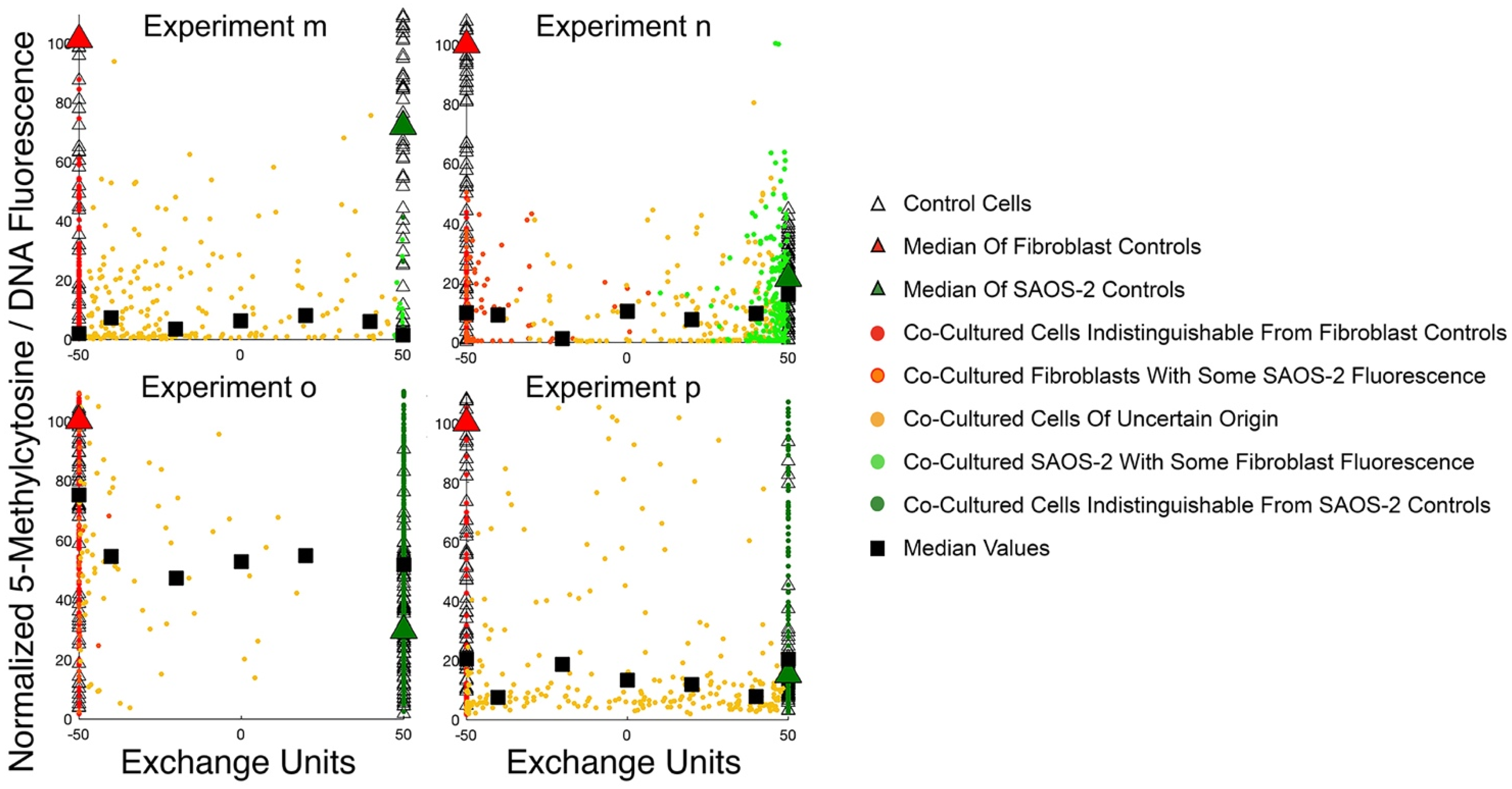 Ijms 23 07949 g007 Ijms 23 07949 g007