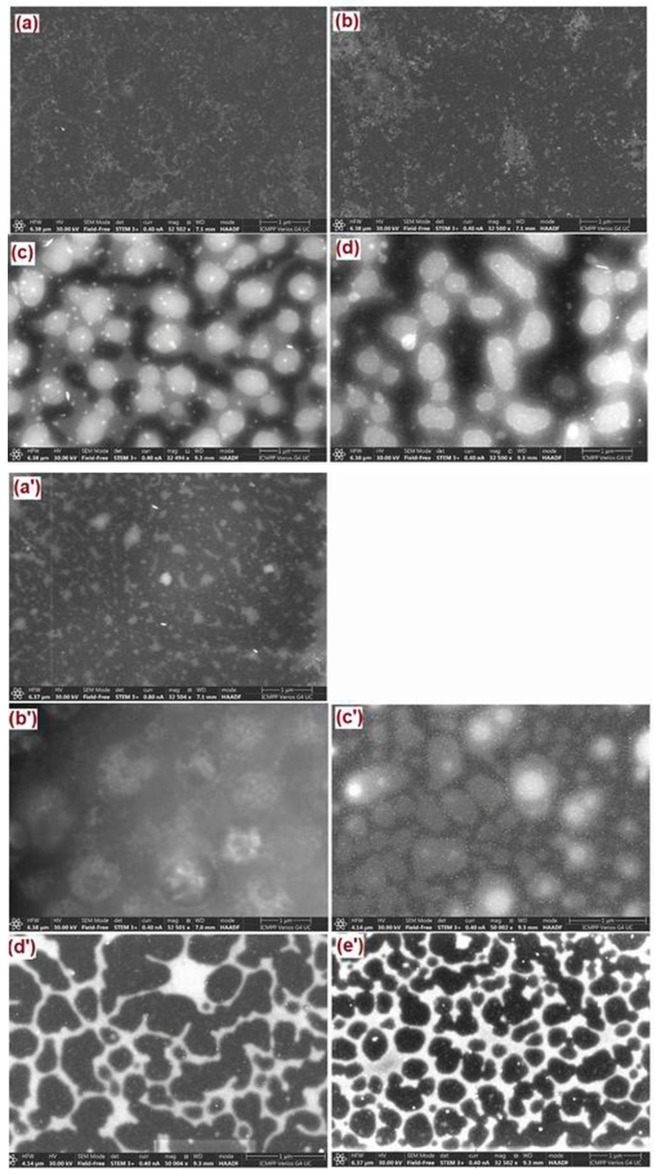 Ijms 23 07961 g006