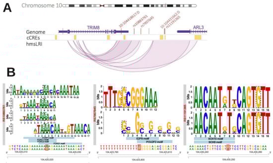 Ijms 23 07964 g005 550