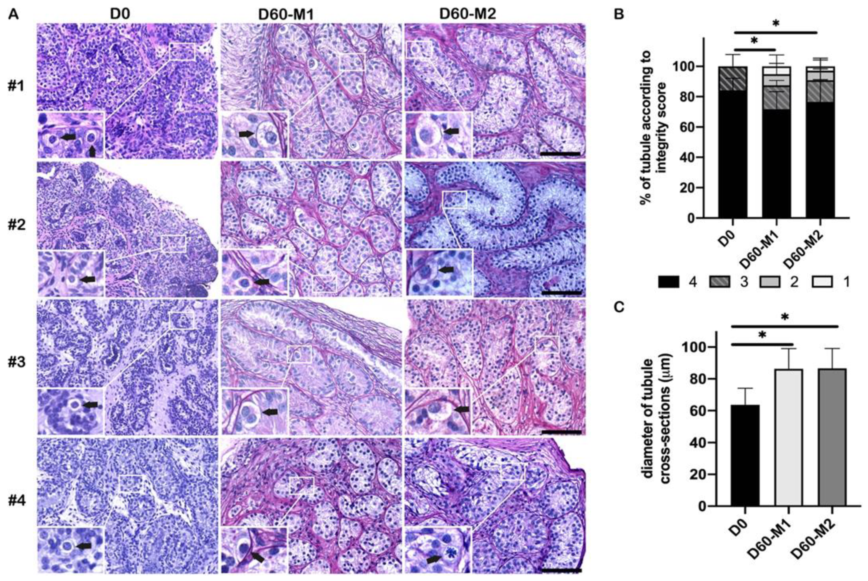 Ijms 23 07975 g001 Ijms 23 07975 g001