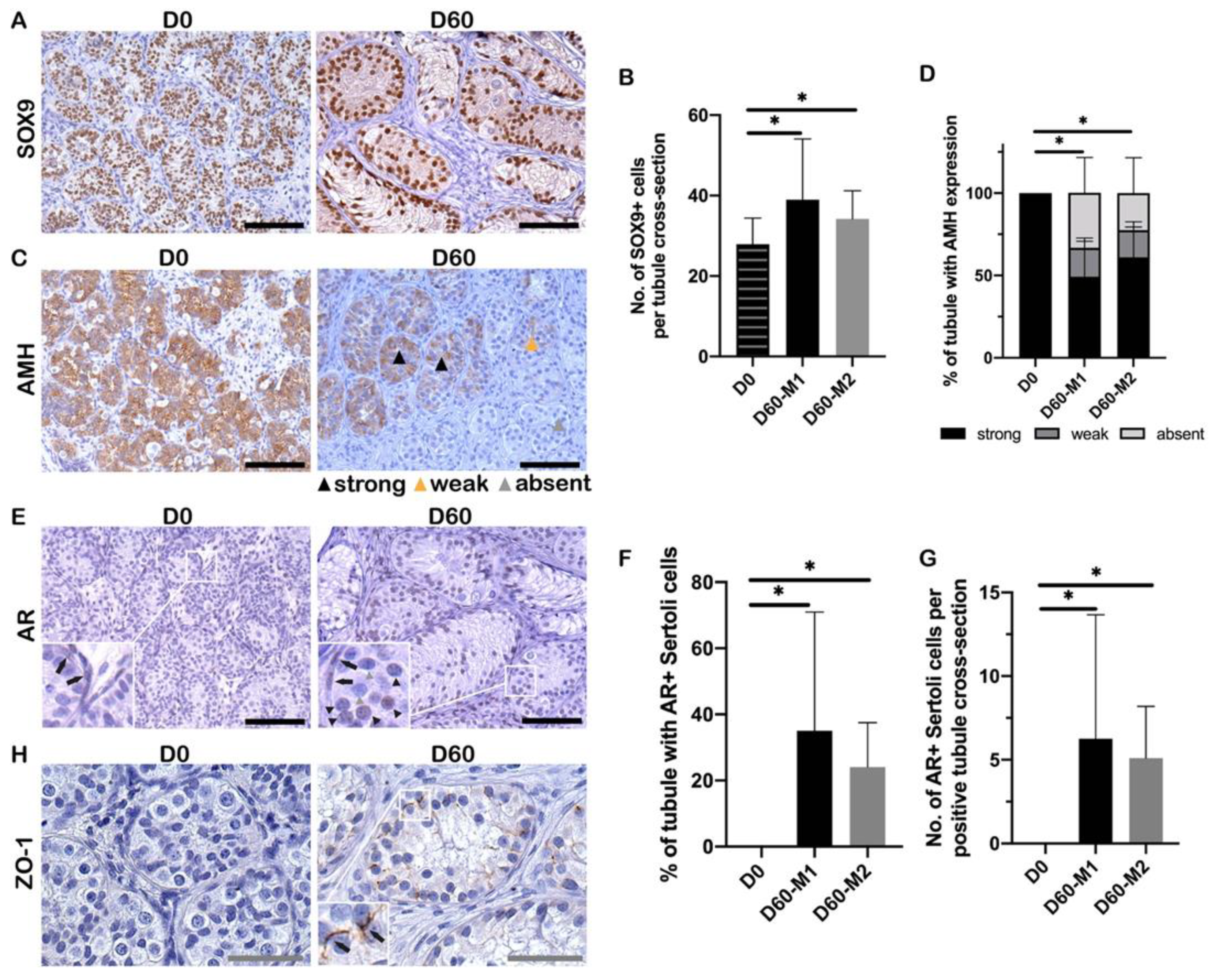 Ijms 23 07975 g003 Ijms 23 07975 g003